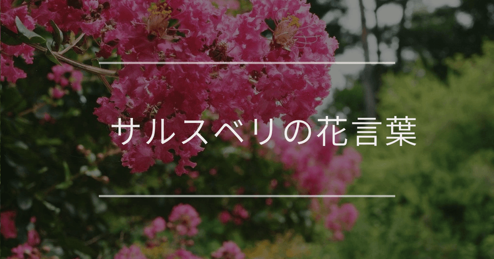 百日紅（サルスベリ）花言葉｜誕生花、名前の由来