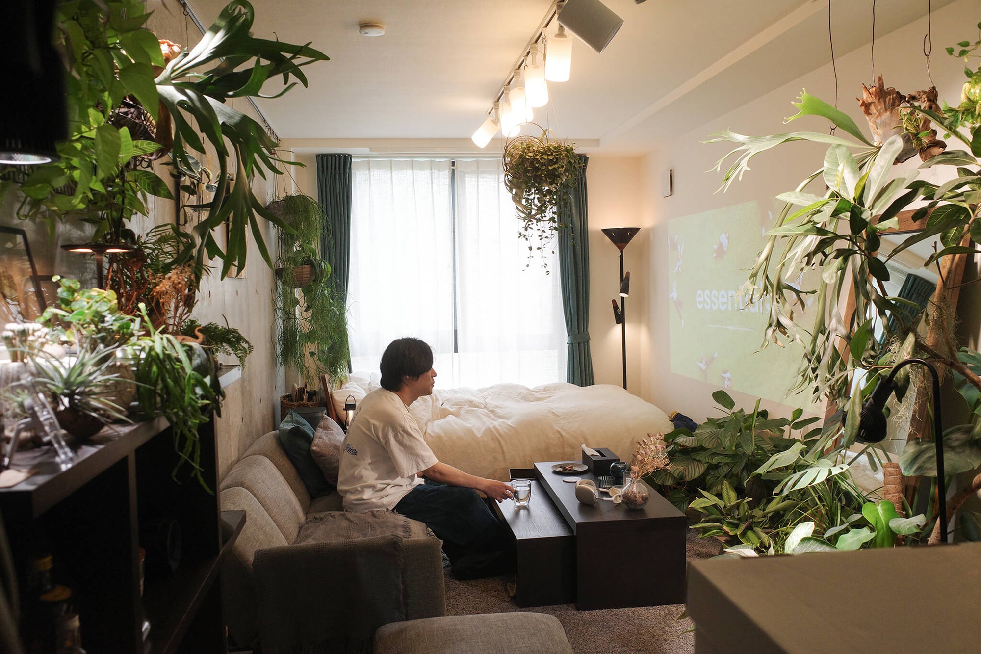 存在感溢れる観葉植物と照明が彩る、好きに囲まれた都内ワンルームライフ
