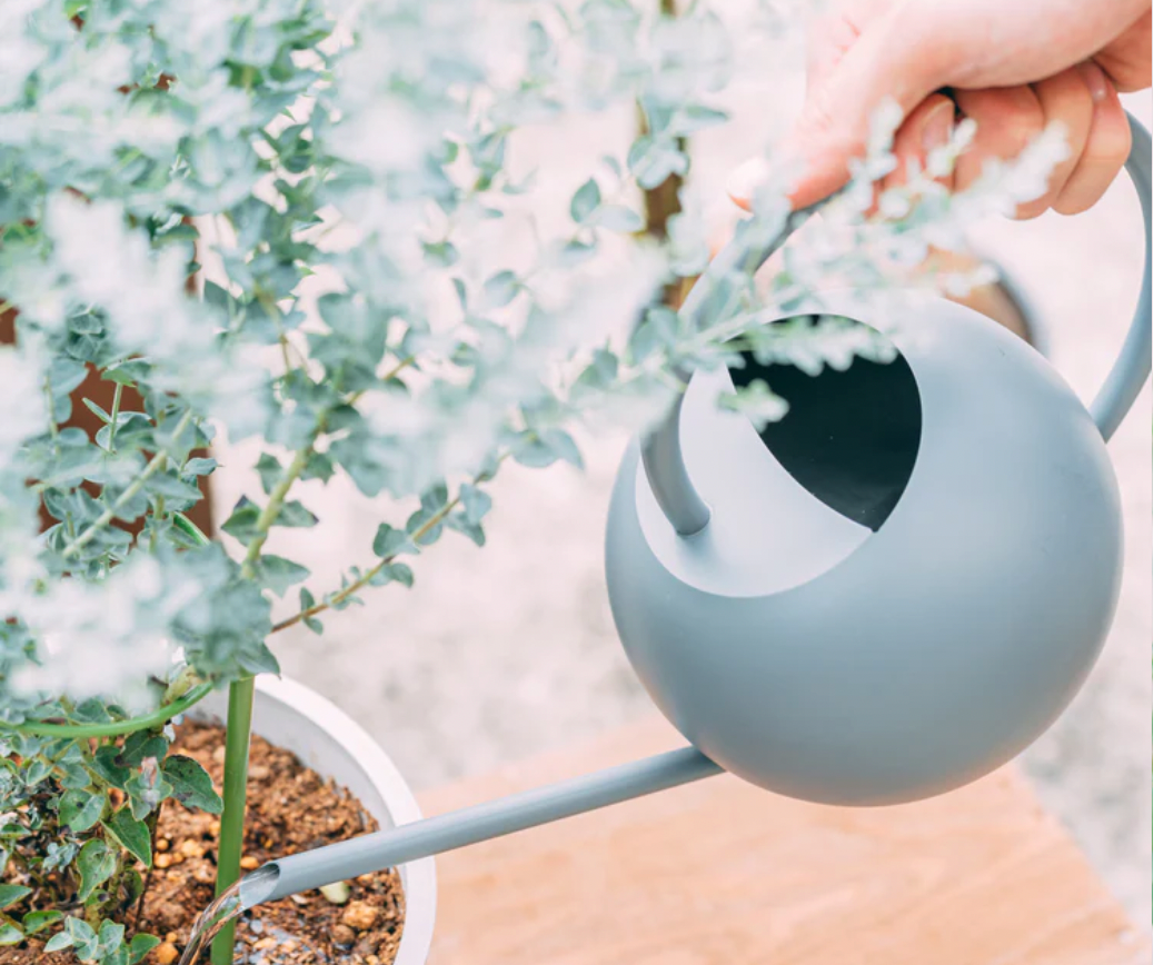 その他園芸グッズ | AND PLANTS (アンドプランツ) その他園芸グッズ | AND PLANTS (アンドプランツ)