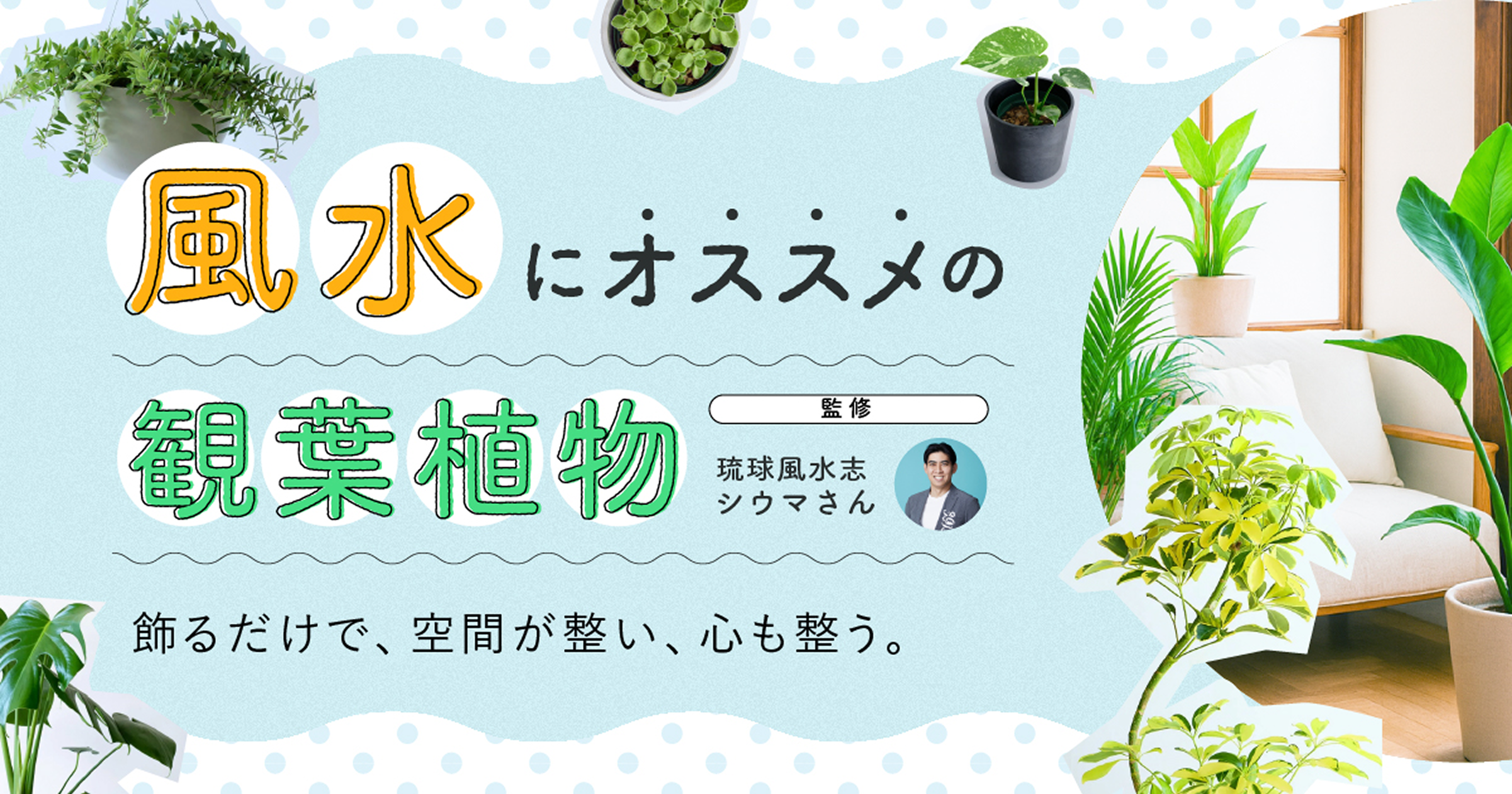 風水でトイレの運気を上げる方法｜おすすめの色やアイテムと開運のコツ 