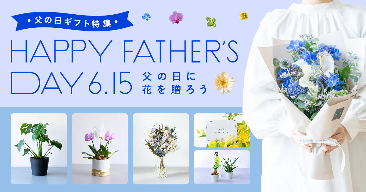 父の日 | 観葉植物・お花の通販 AND PLANTS (アンドプランツ)