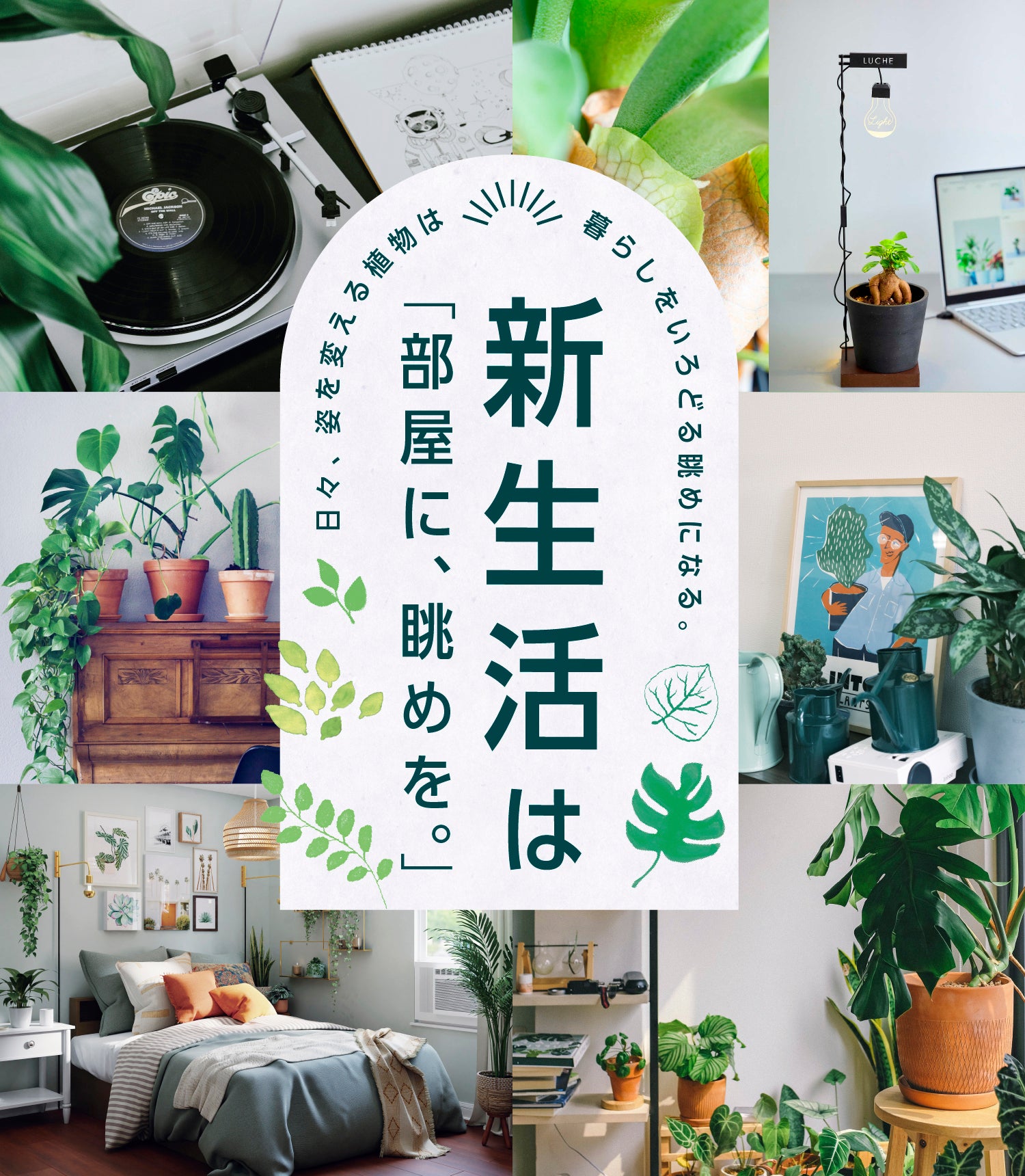 新生活は「部屋に、眺めを。」 | 観葉植物・お花の通販 アンドプランツ