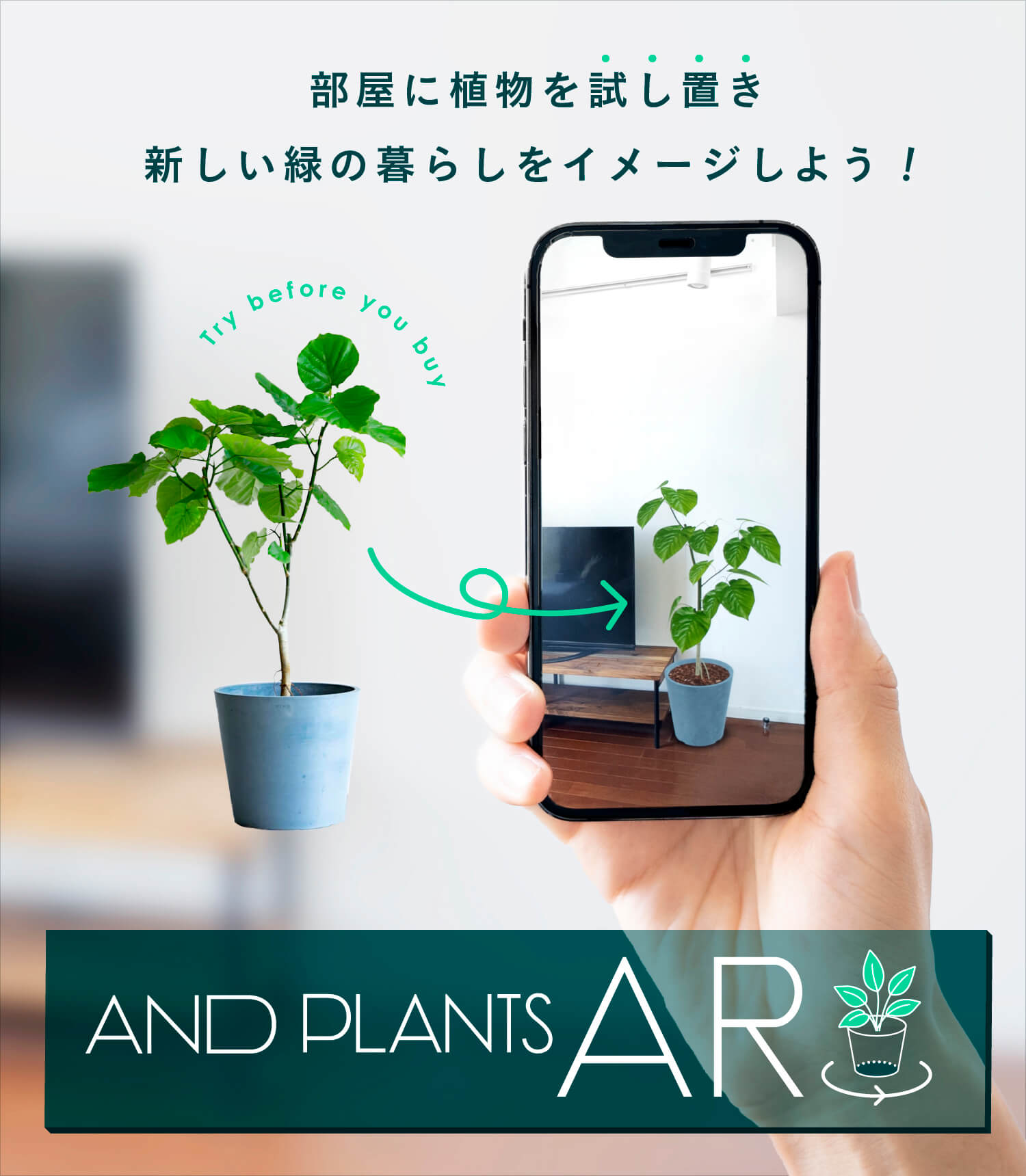 AND PLANTS (アンドプランツ) | 観葉植物・お花の通販