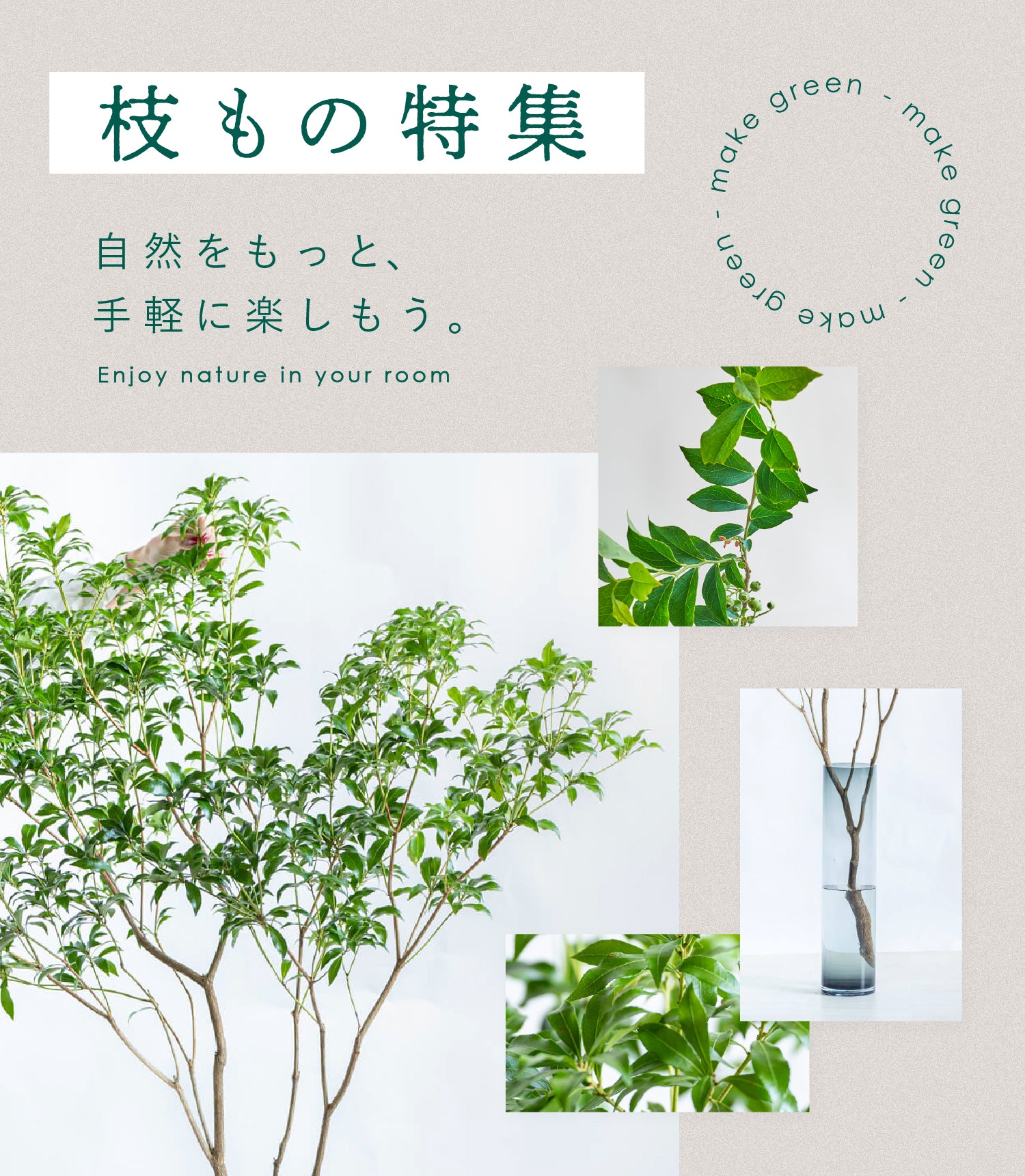 枝もの特集