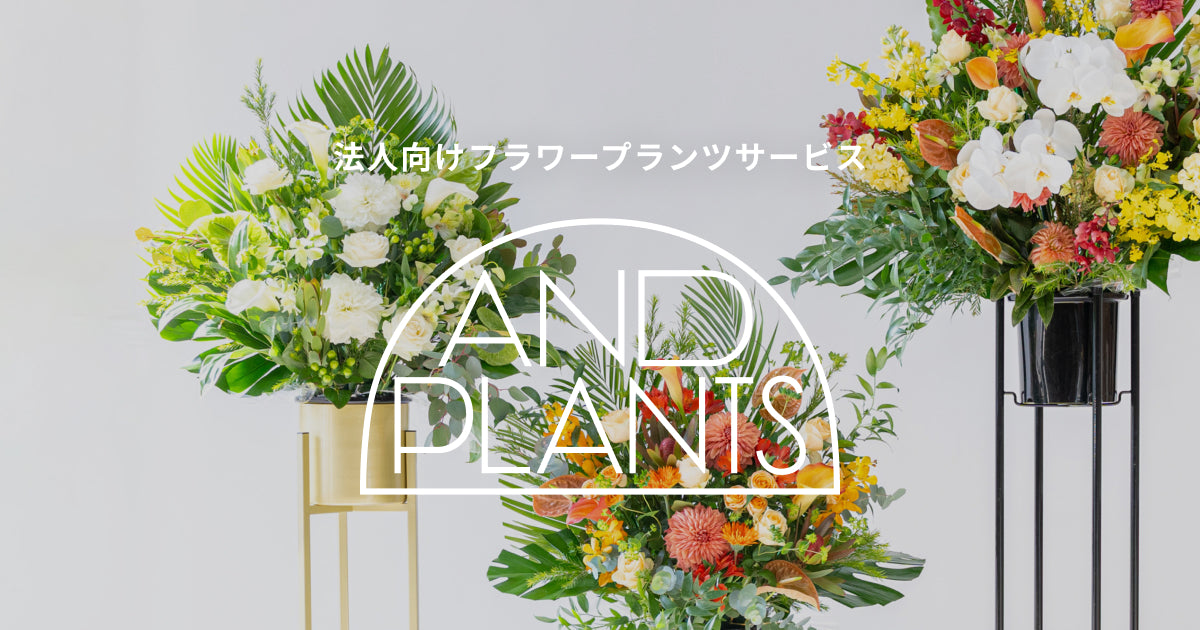 法人向けサービス | 観葉植物・お花の通販 AND PLANTS (アンドプランツ)