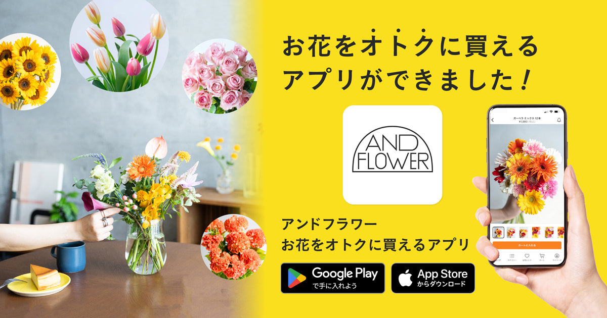 観葉植物・お花の通販｜AND PLANTS (アンドプランツ)