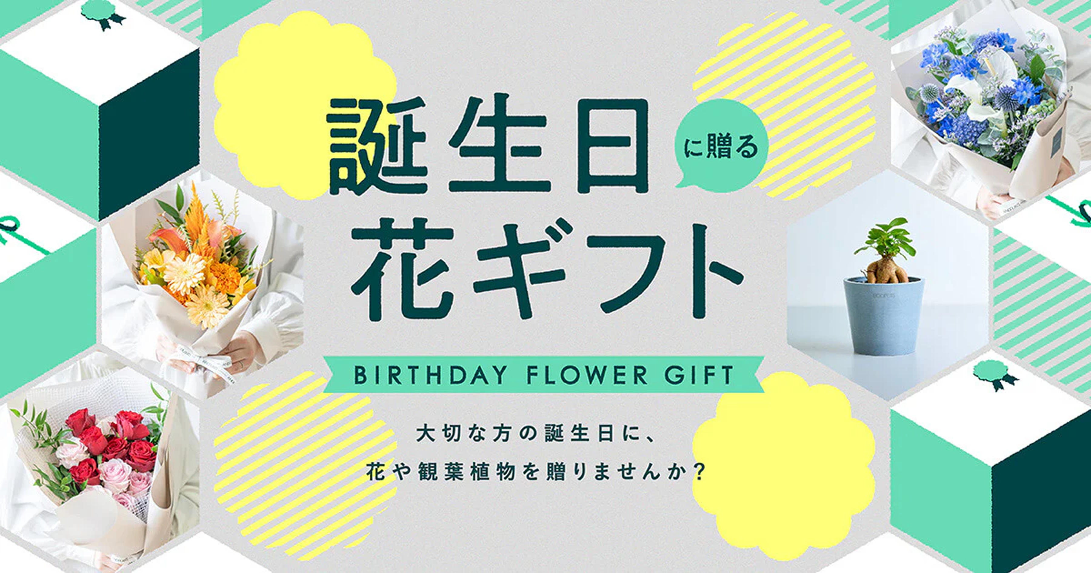 観葉植物・お花の通販｜AND PLANTS (アンドプランツ)