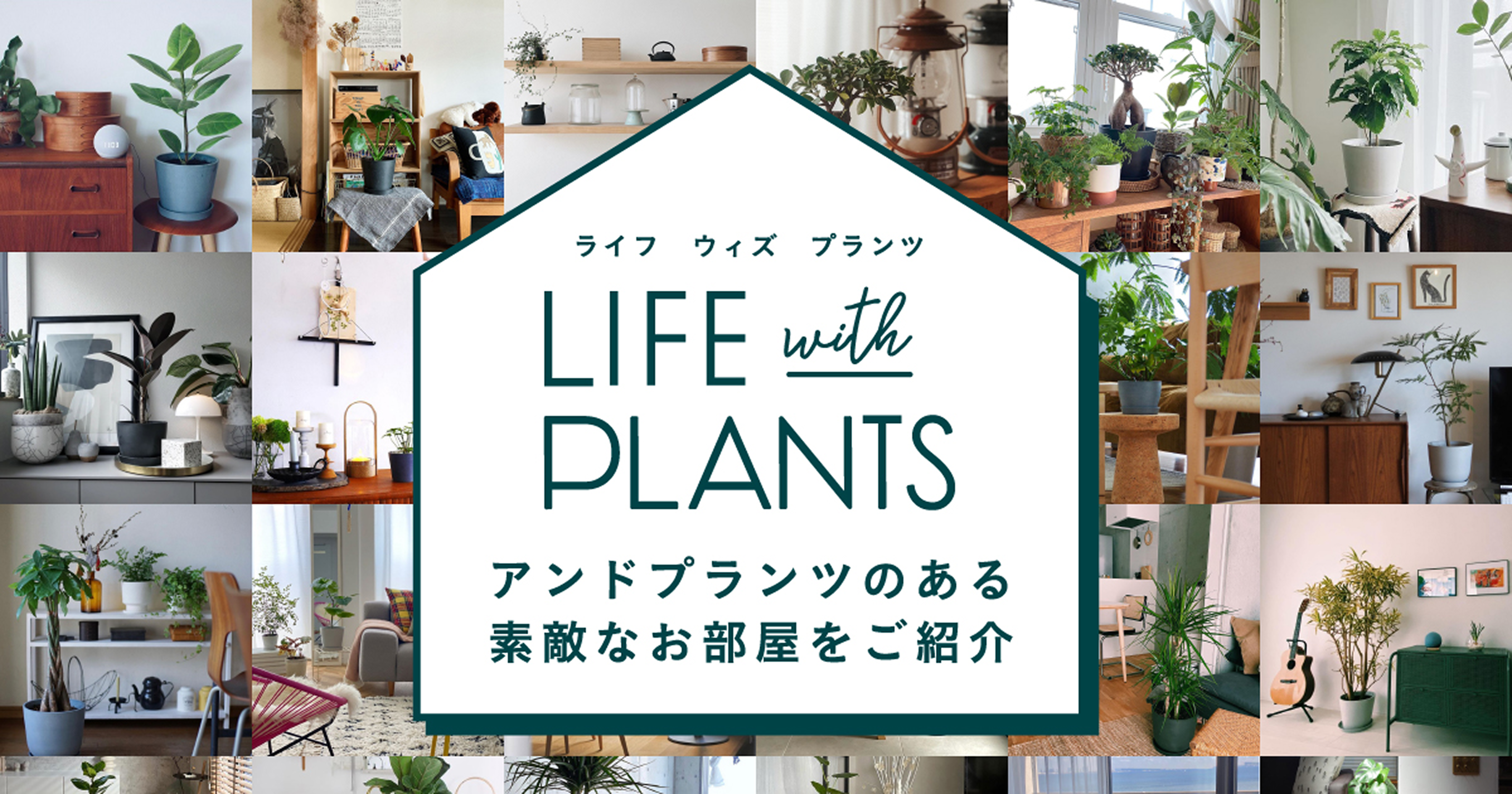 観葉植物・お花の通販｜AND PLANTS (アンドプランツ)
