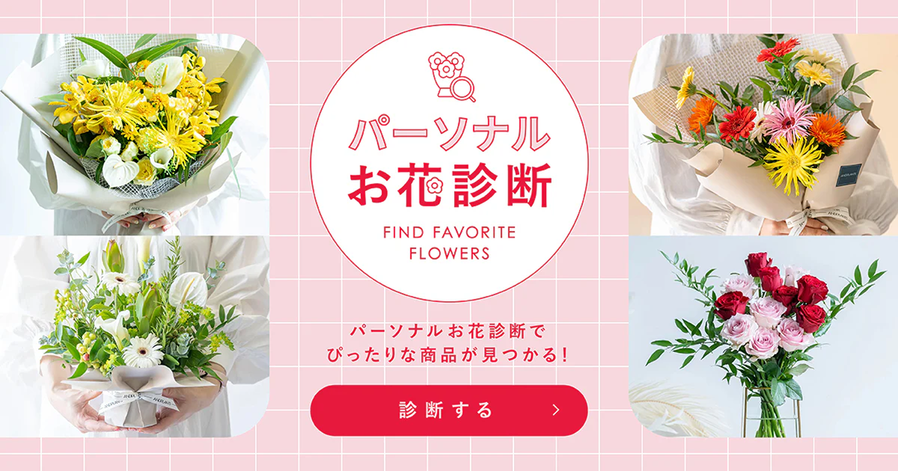 観葉植物・お花の通販｜AND PLANTS (アンドプランツ)
