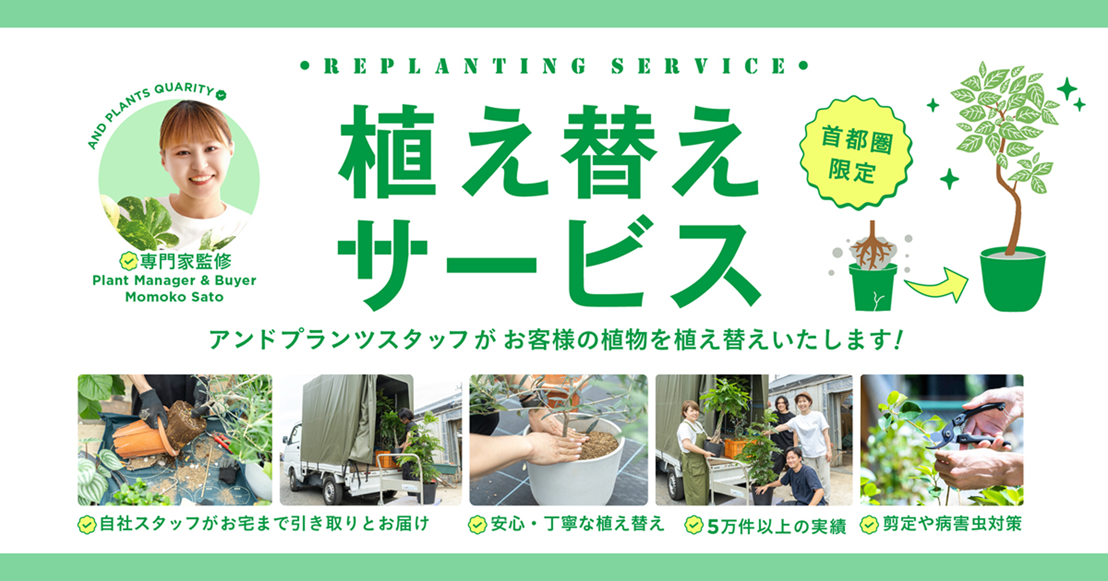 観葉植物・お花の通販｜AND PLANTS (アンドプランツ)