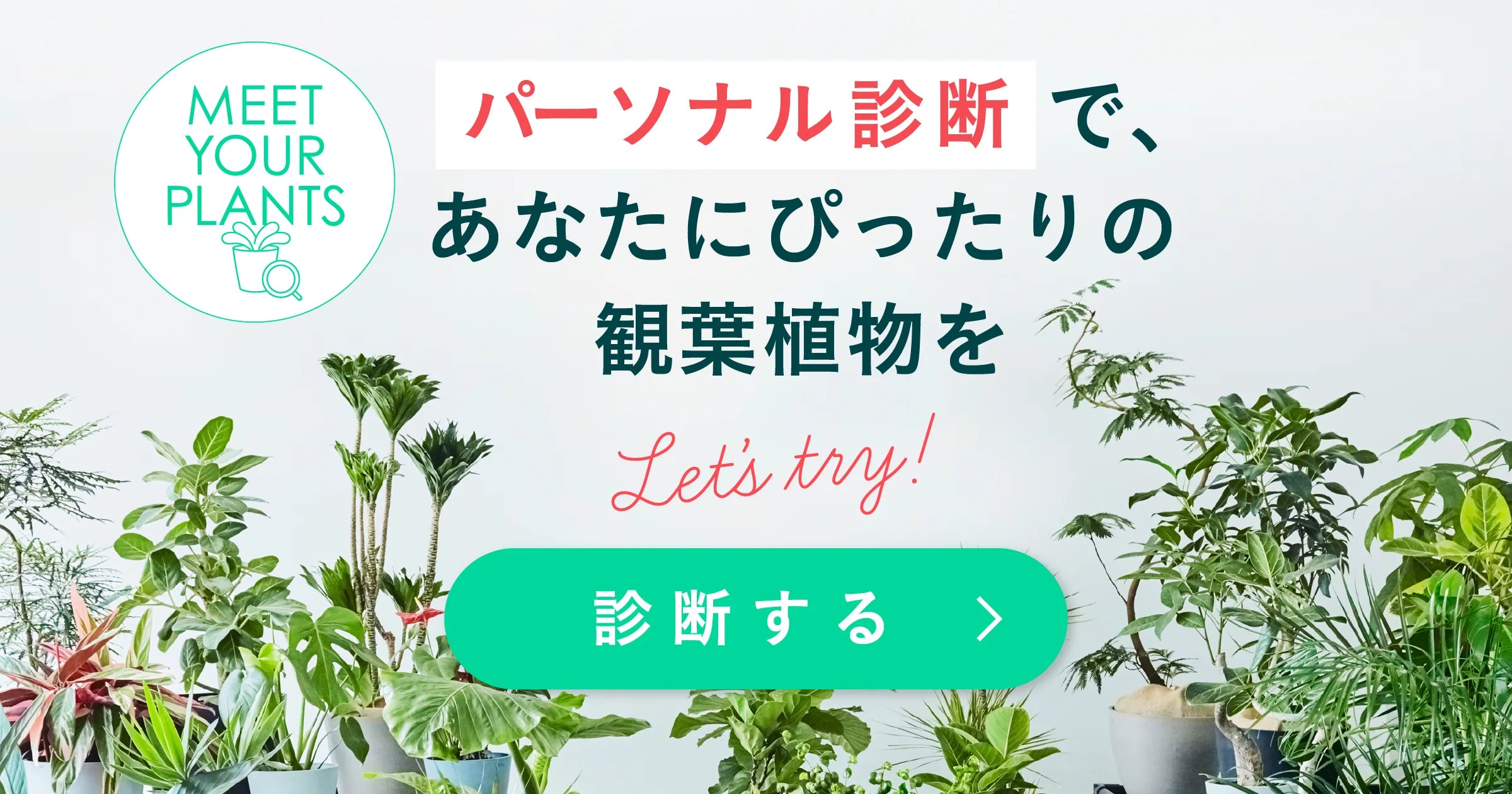 植物診断