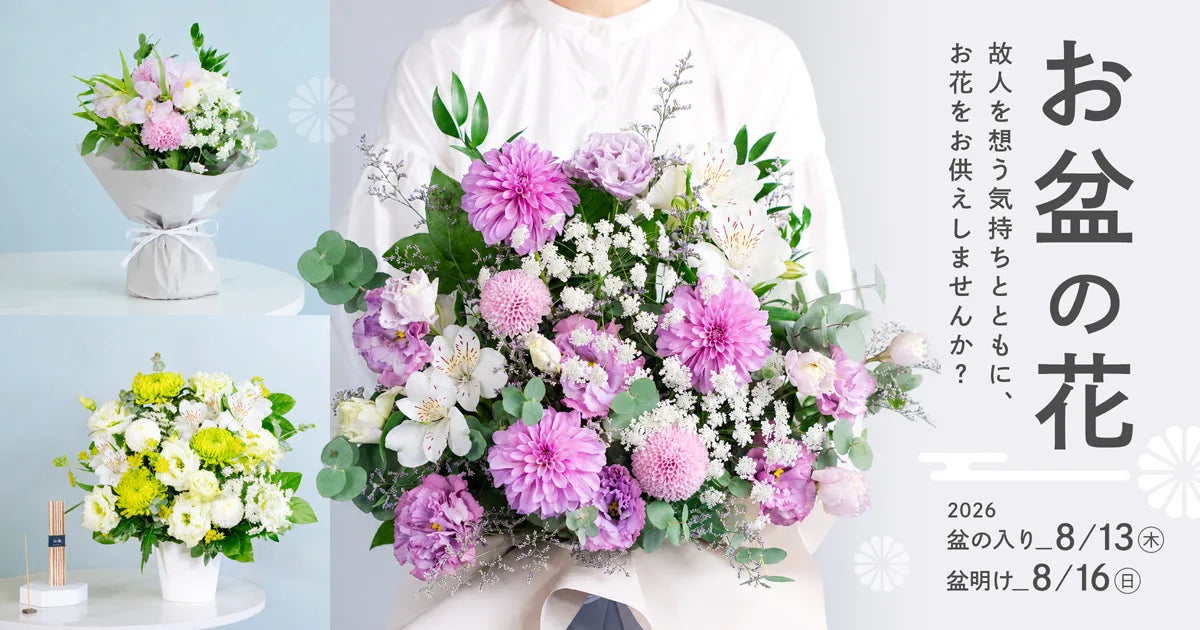 kkkkk.plants様 ありがとうございます。 アンドプランツ・アンドフラワー｜観葉植物・お花の通販