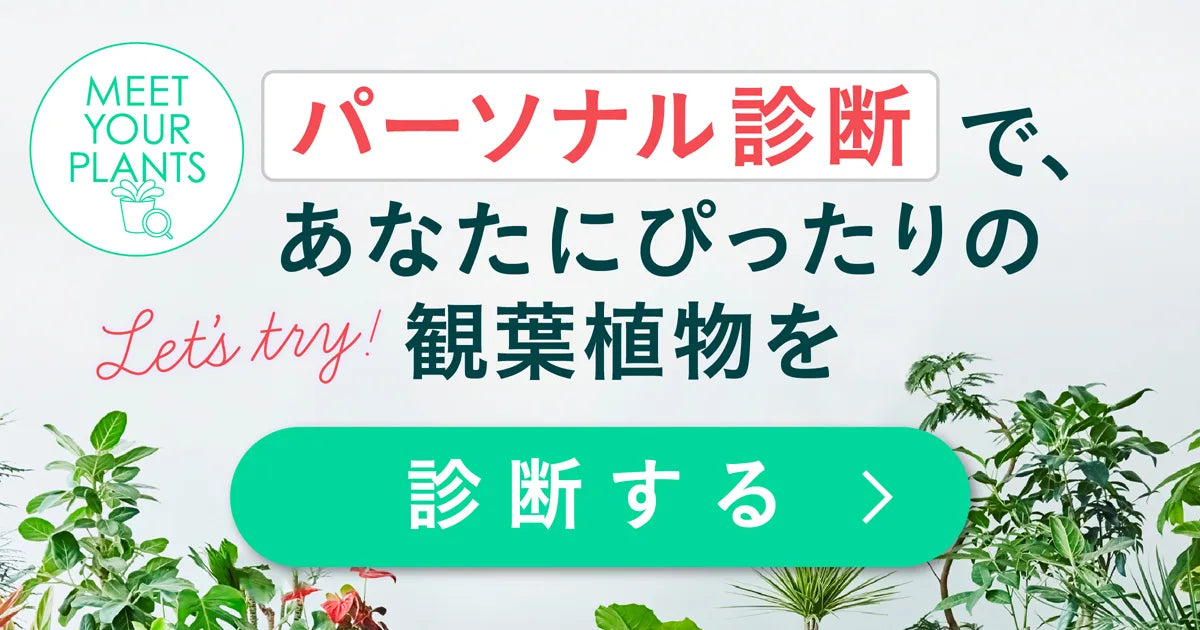 植物診断
