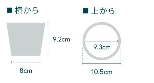 サンスベリア・トーチ Table-S