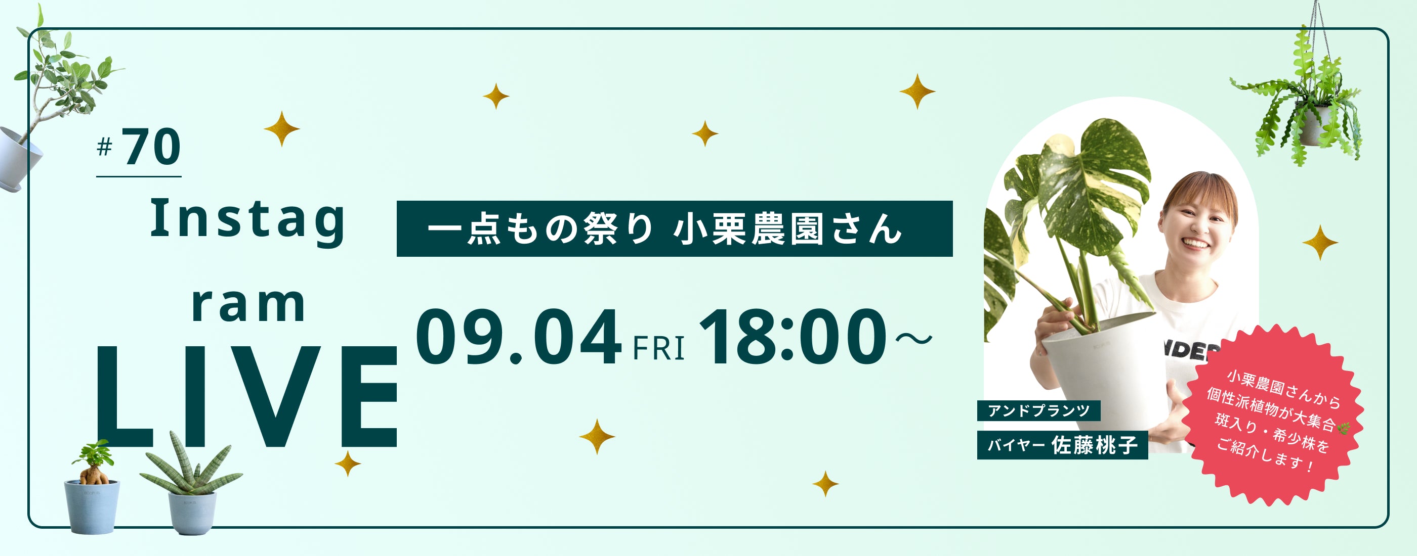 ライブ販売