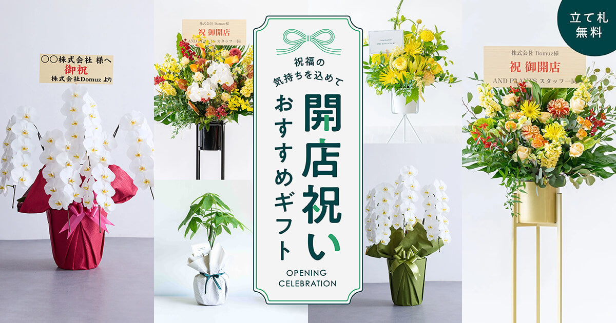 開業祝い・開店祝い・開院祝いにおすすめの花 | お花の通販ならアンドフラワー