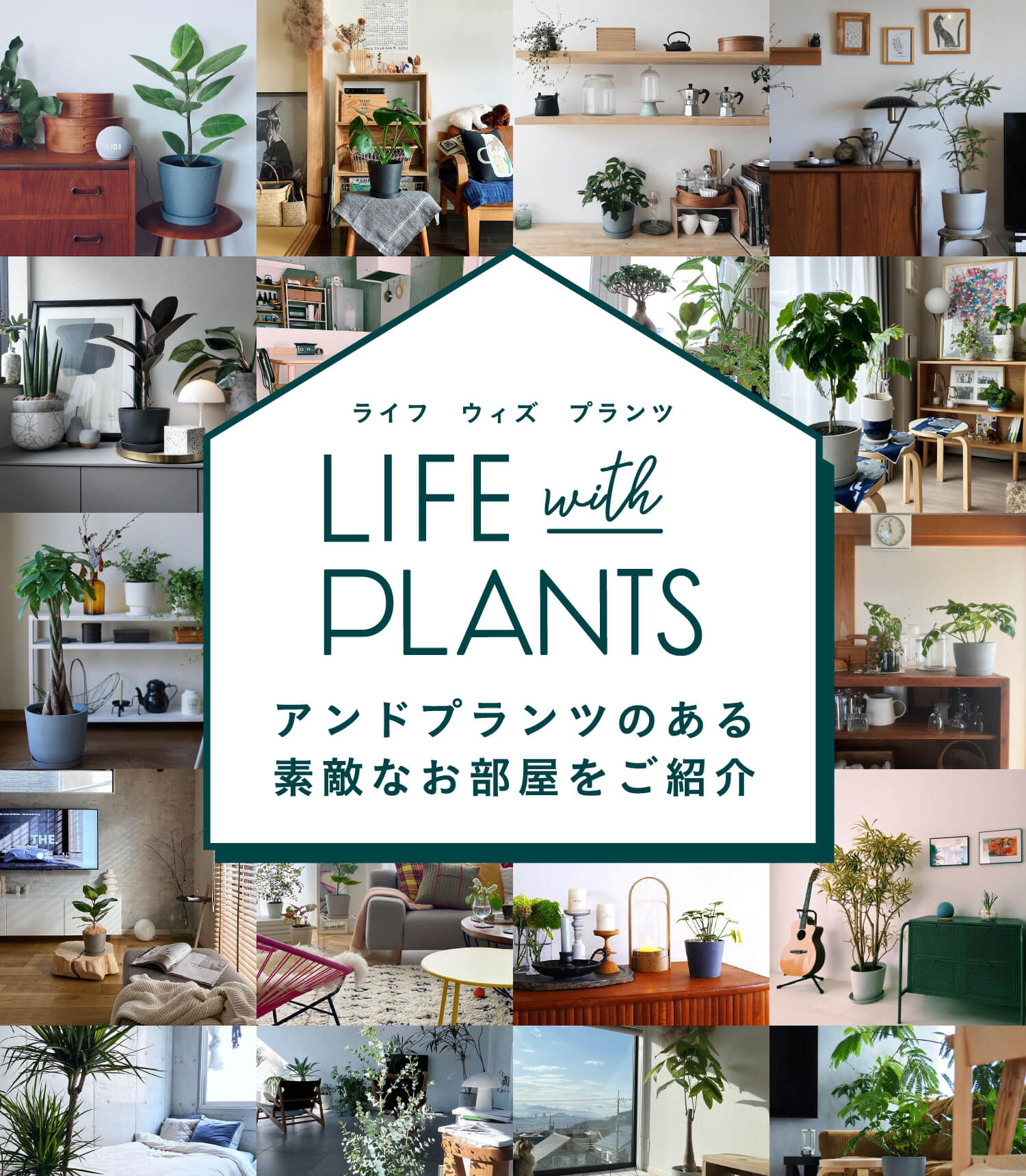 AND PLANTS (アンドプランツ) | 観葉植物・お花の通販