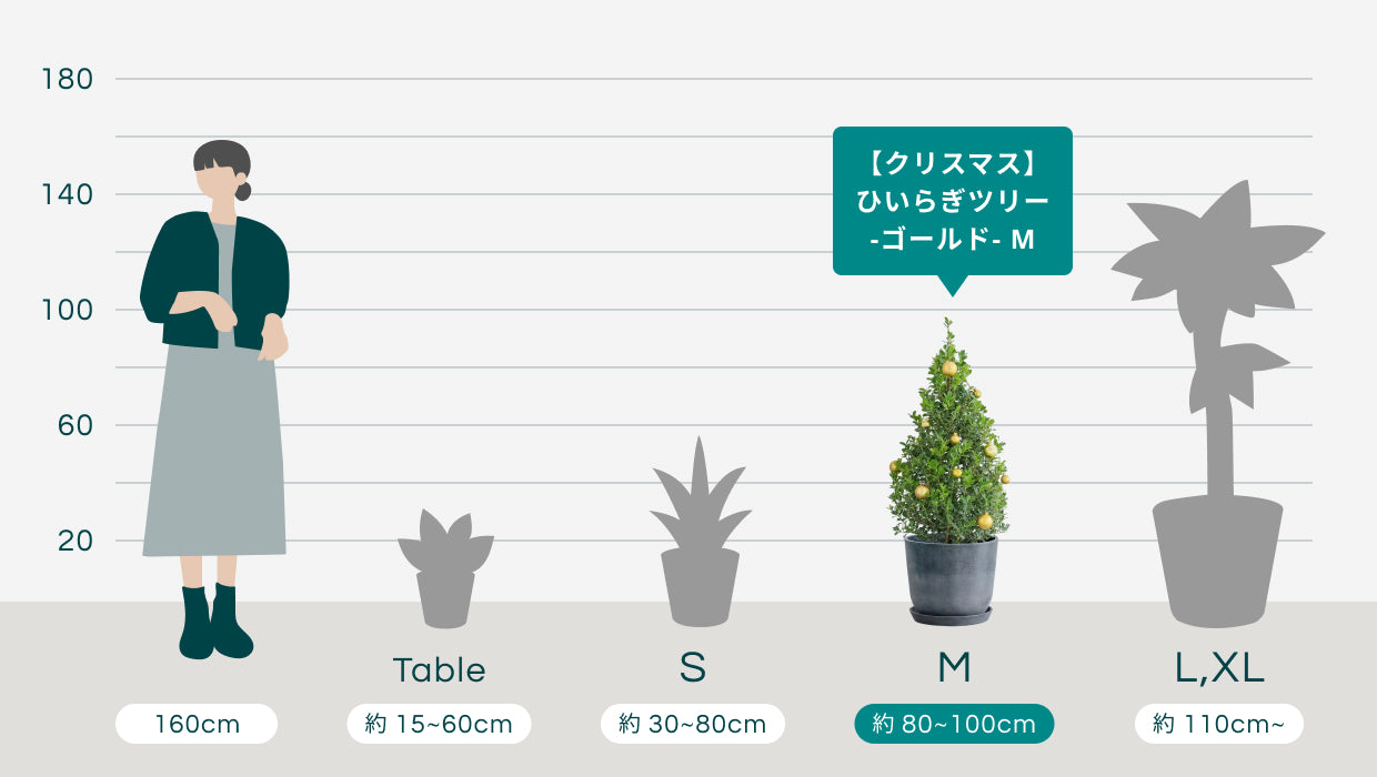 クリスマス】ひいらぎツリー -ゴールド- M | 観葉植物の通販 AND