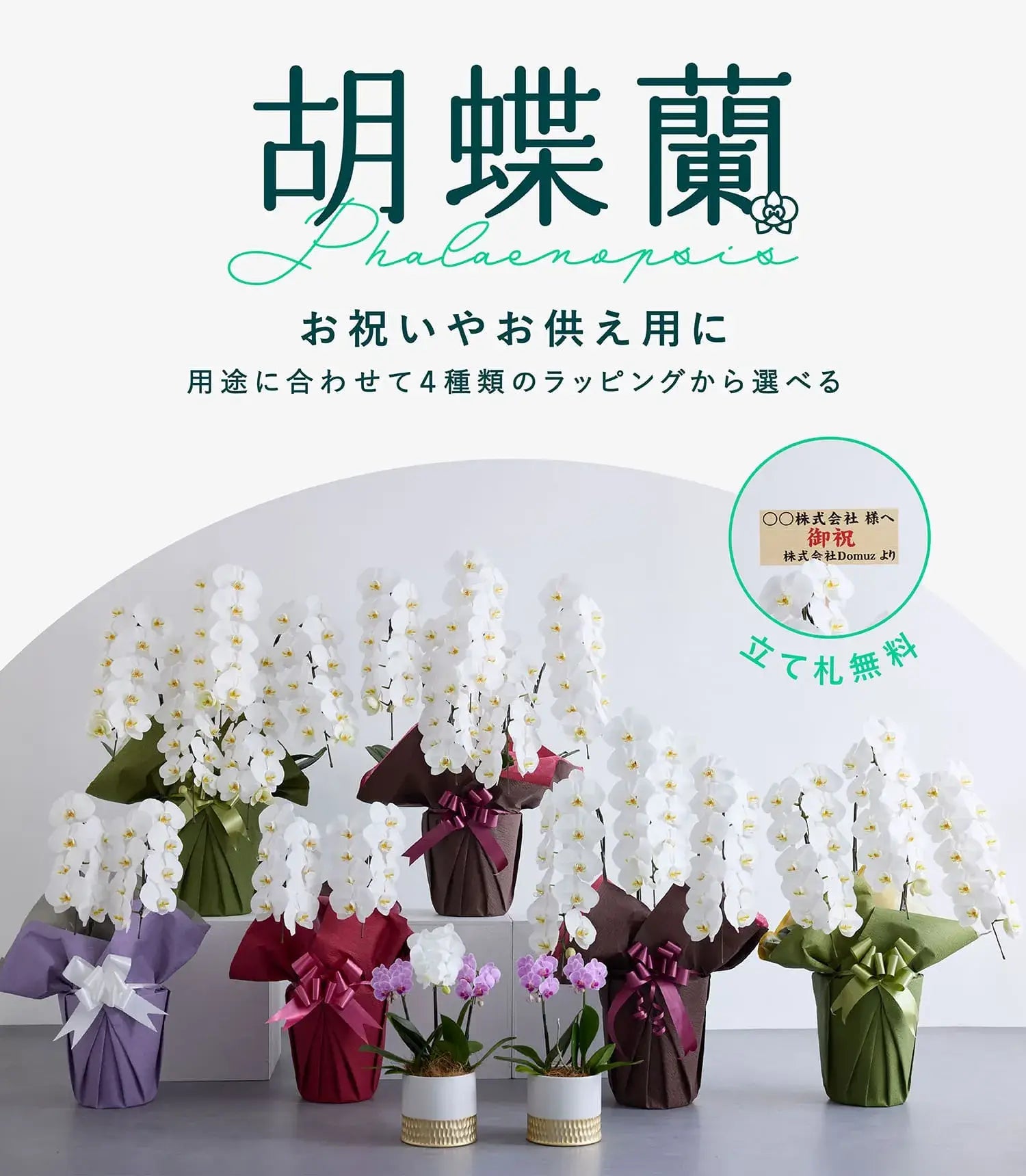 フローリスト8月号 裏表紙 確認用（フローリスト8月号 裏表紙