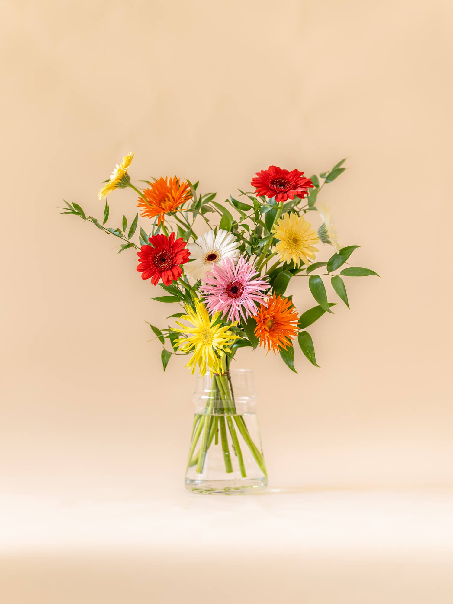 ガーベラの花束 10本 - ミックス - | お花の通販AND FLOWER (アンド