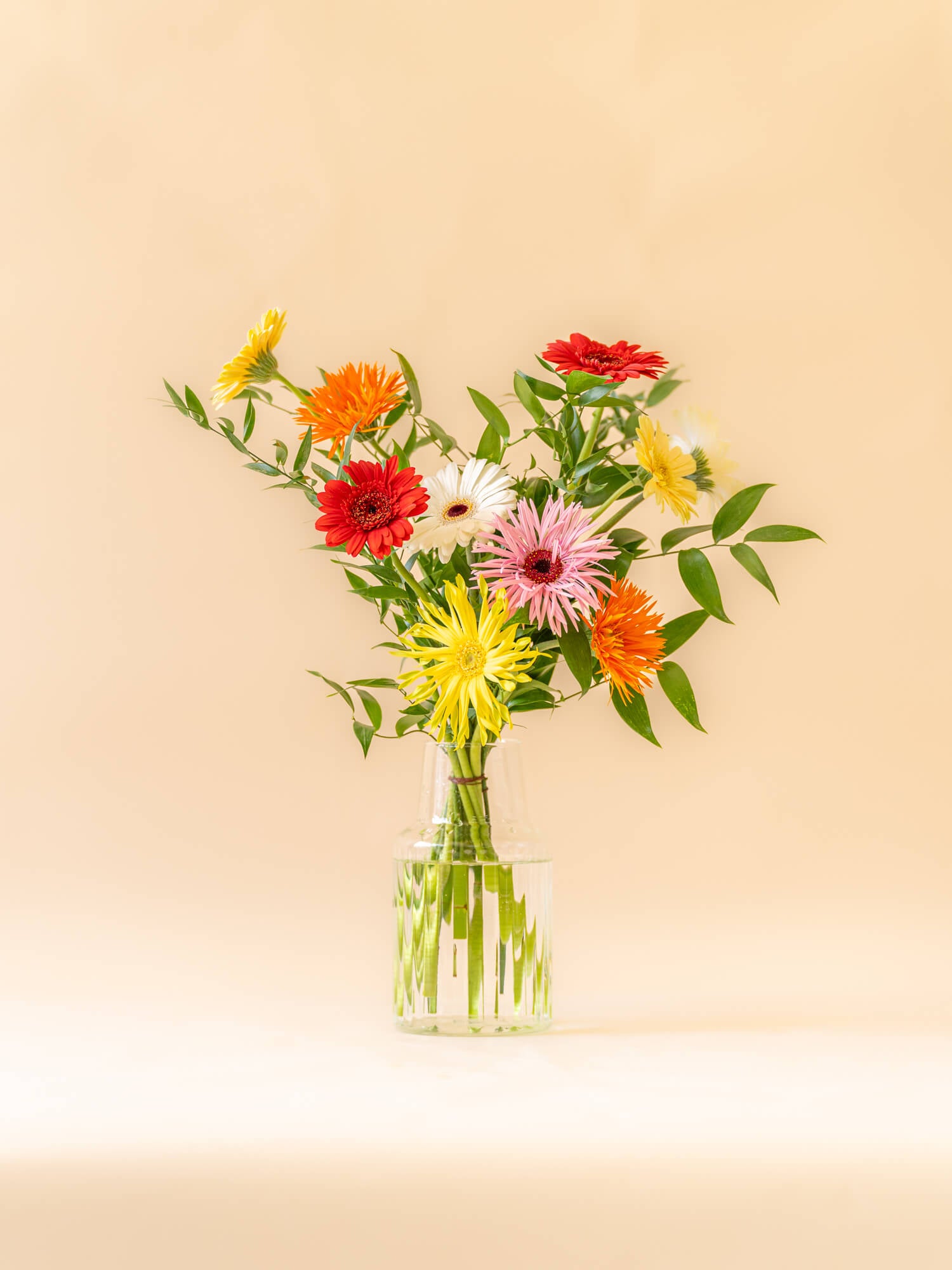 ガーベラの花束 10本 - ミックス - | お花の通販AND PLANTS (アンド