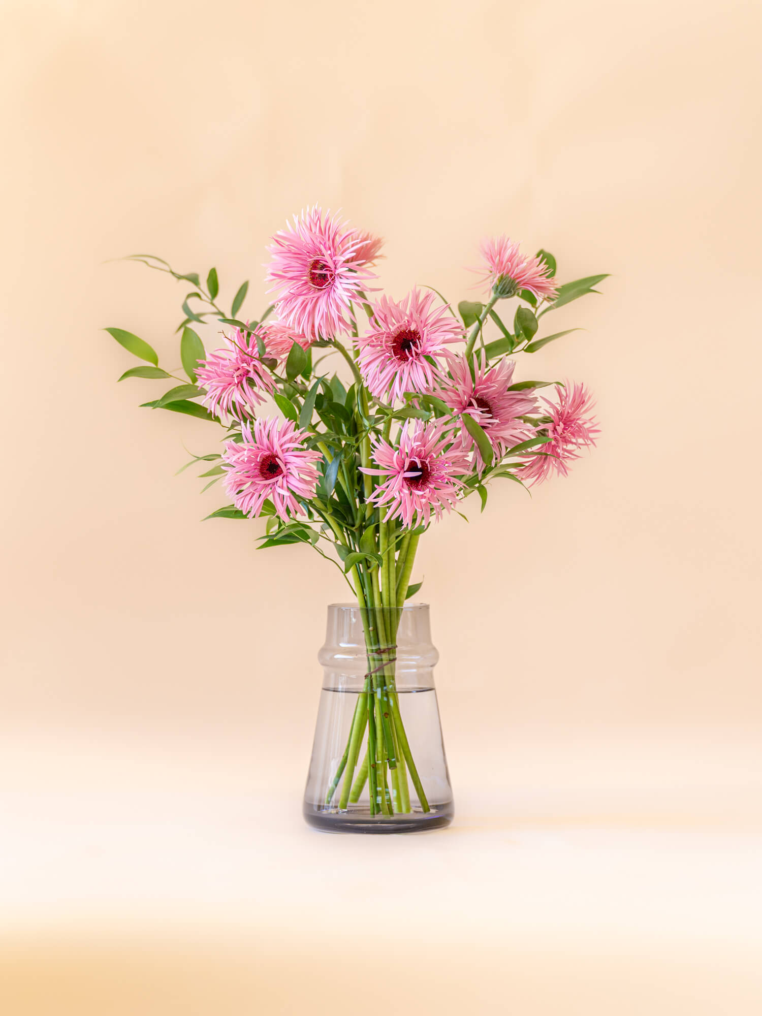 ガーベラ　10本セット ガーベラの花束 10本 - ピンク - | お花の通販AND FLOWER (アンドフラワー)