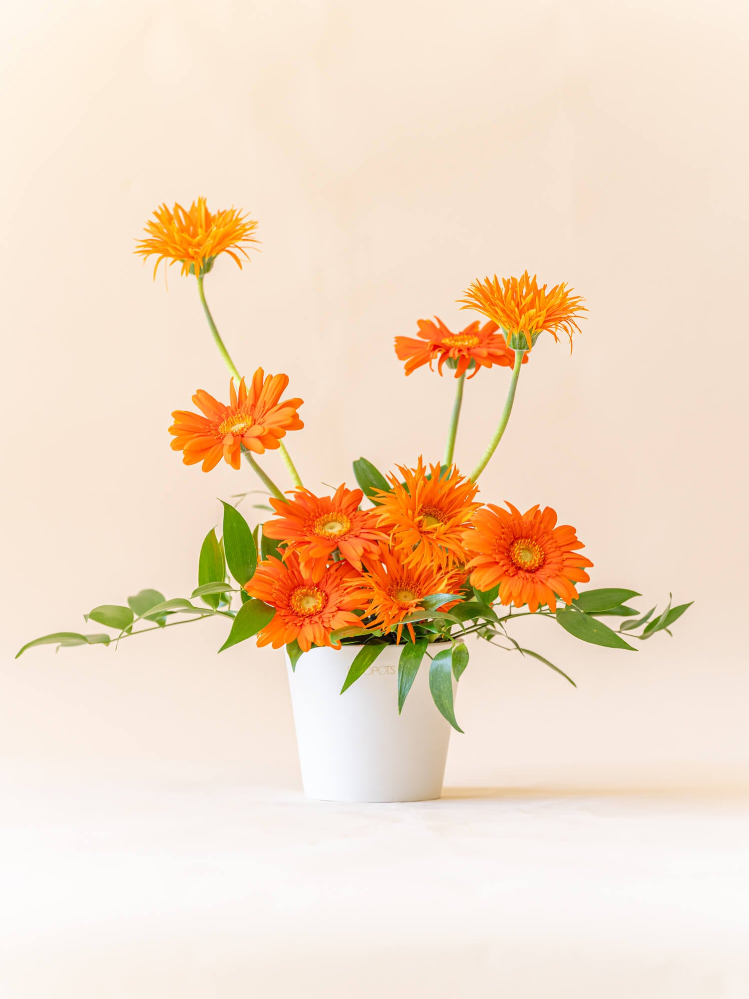 ガーベラのアレンジ 12本 - オレンジ -| お花の通販 AND PLANTS 