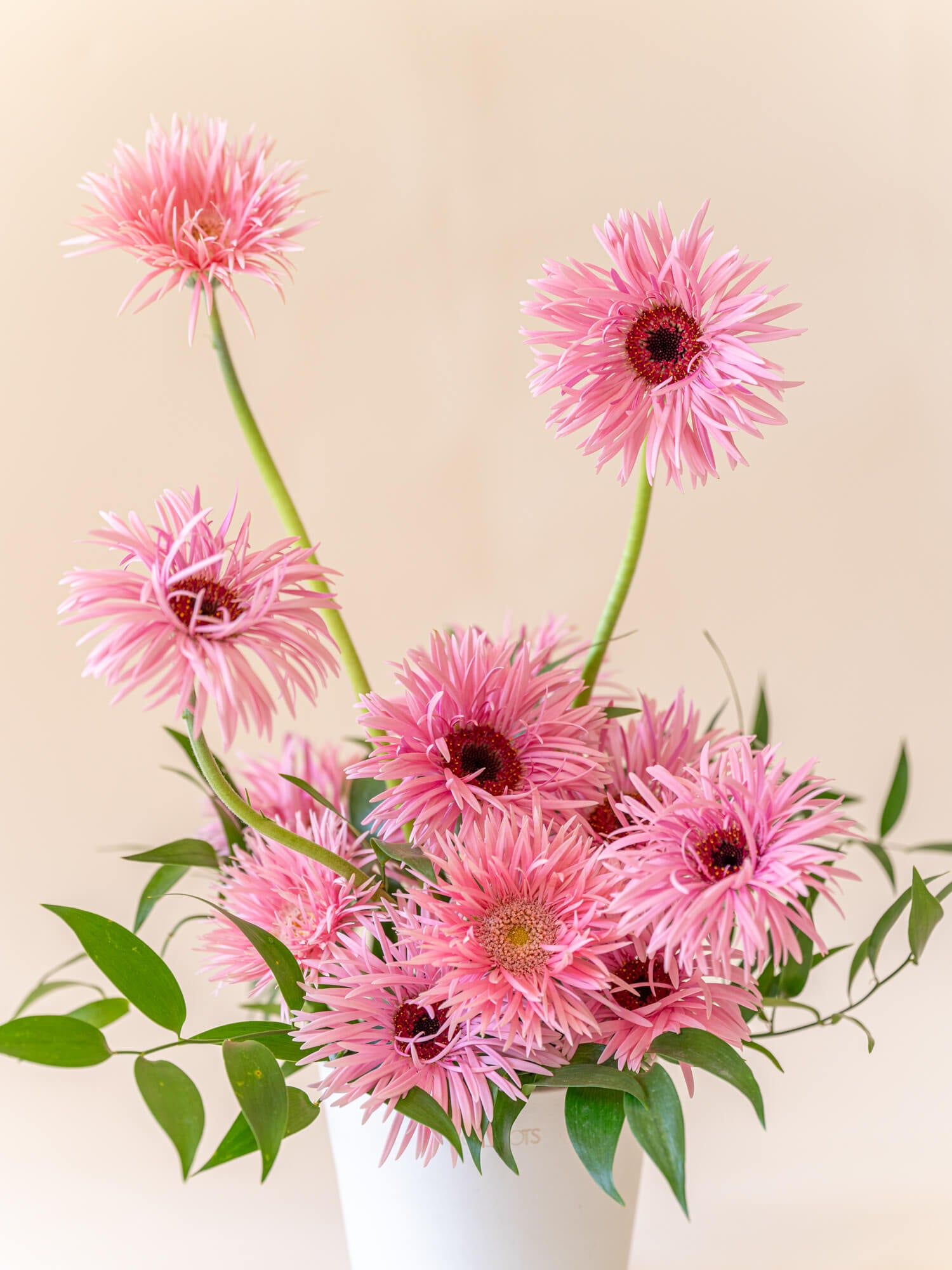 5月の誕生花一覧(月・日)|花言葉・誕生石・通販・贈り方など詳細情報!! 花通販Happyガイド | 5月の誕生花一覧(月・日)|花言葉・誕生石・通販・贈り方など詳細情報!!