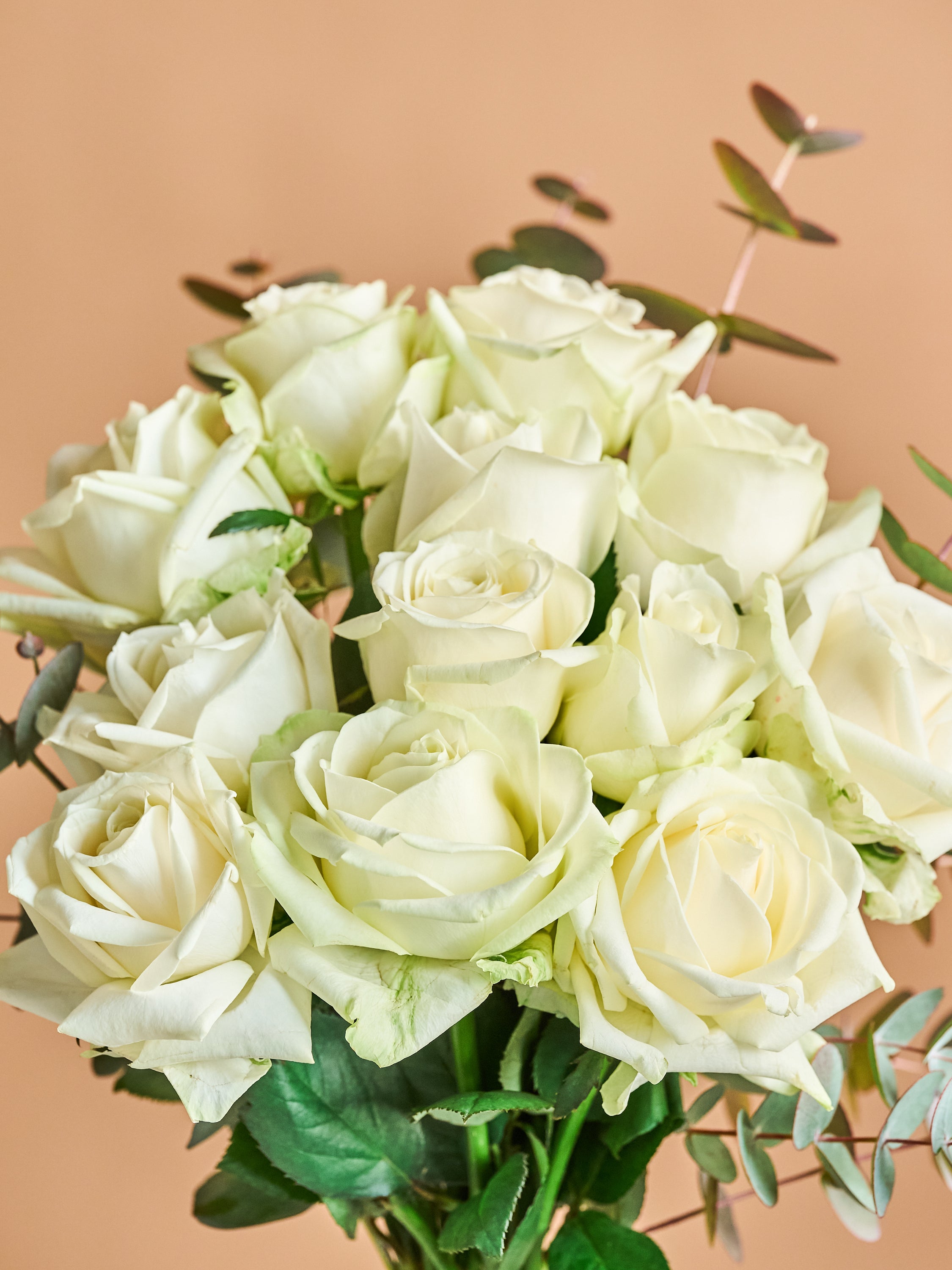 ハッピー【卸】第12弾 白薔薇 50ml＋ 20ml(回数特典) 誕生日ギフト】バラの花束 12本 - ホワイト | お花の通販AND FLOWER