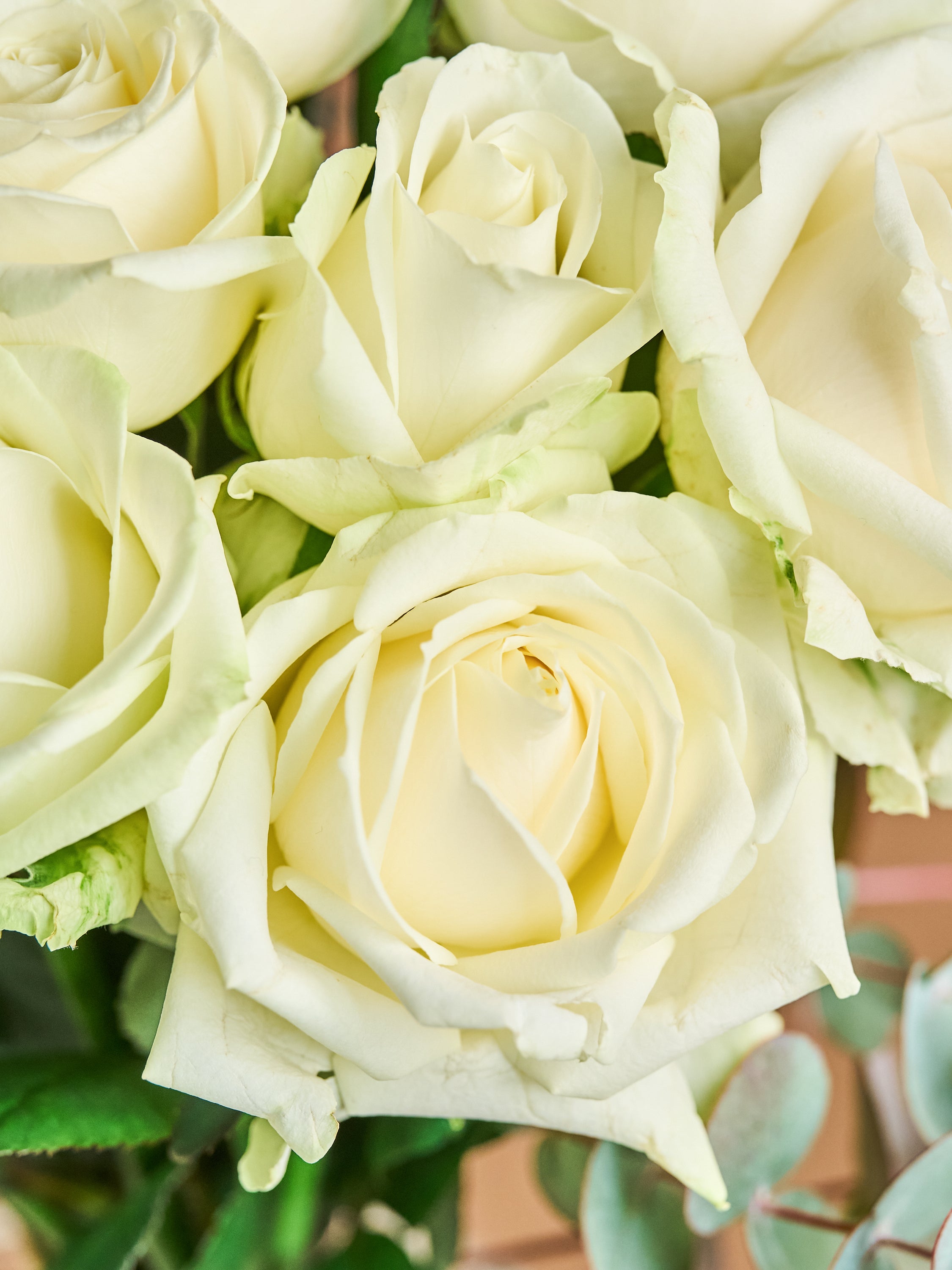 誕生日ギフト】バラの花束 12本 - ホワイト | お花の通販AND FLOWER
