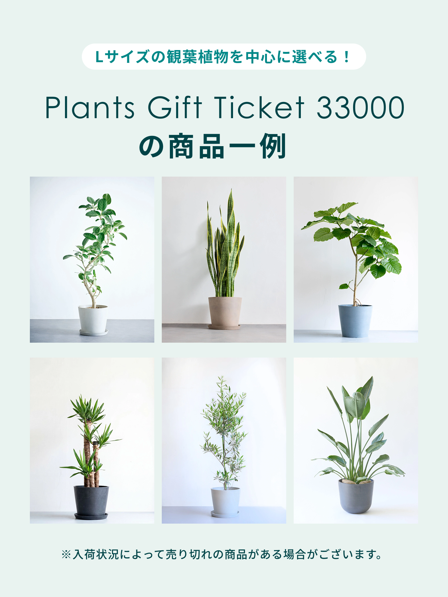 観葉植物ギフトカード】Plants Gift Card 33000 | 観葉植物・お花の