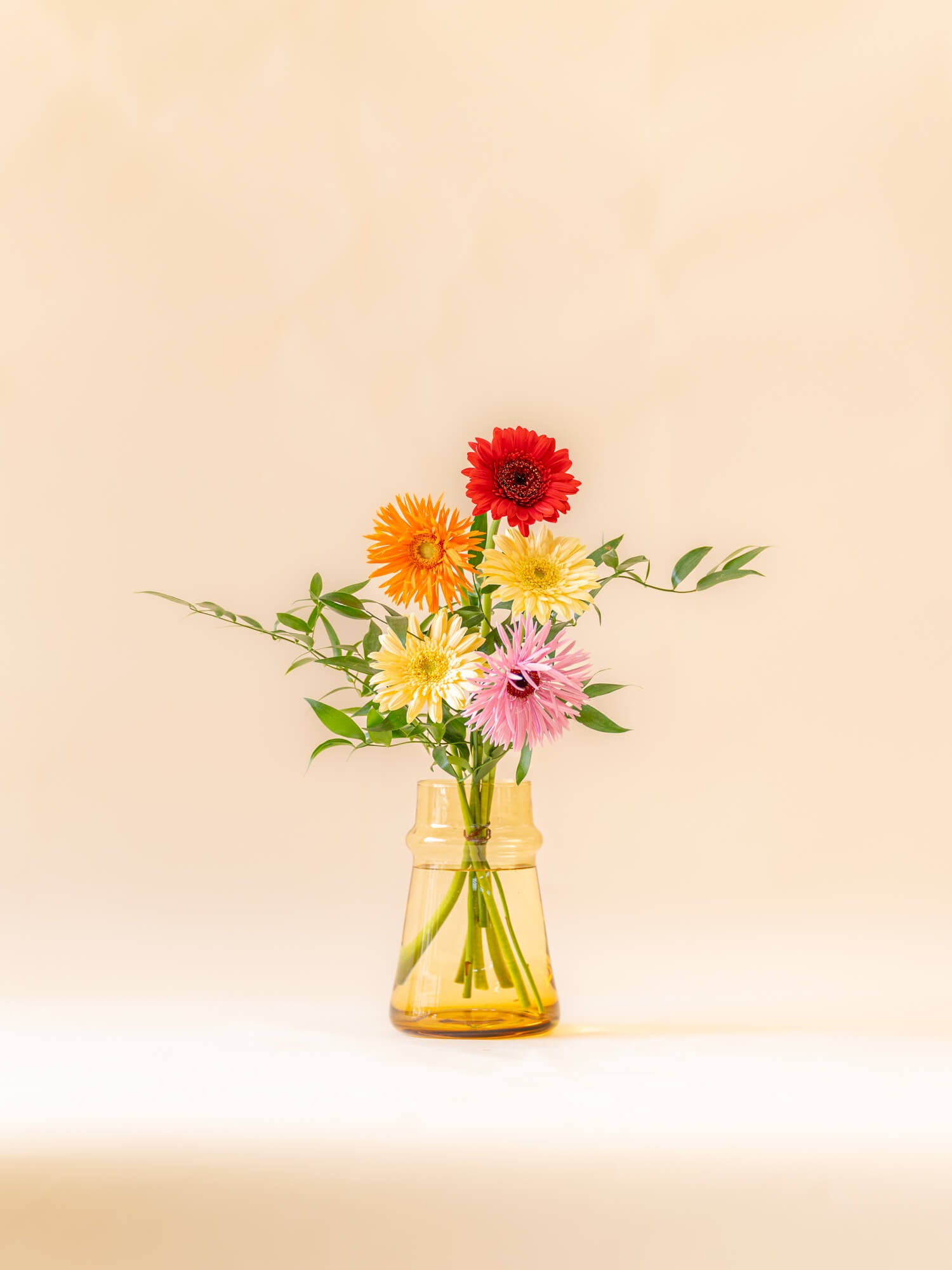 ガーベラの花束 5本 - ミックス - | お花の通販AND FLOWER (アンド