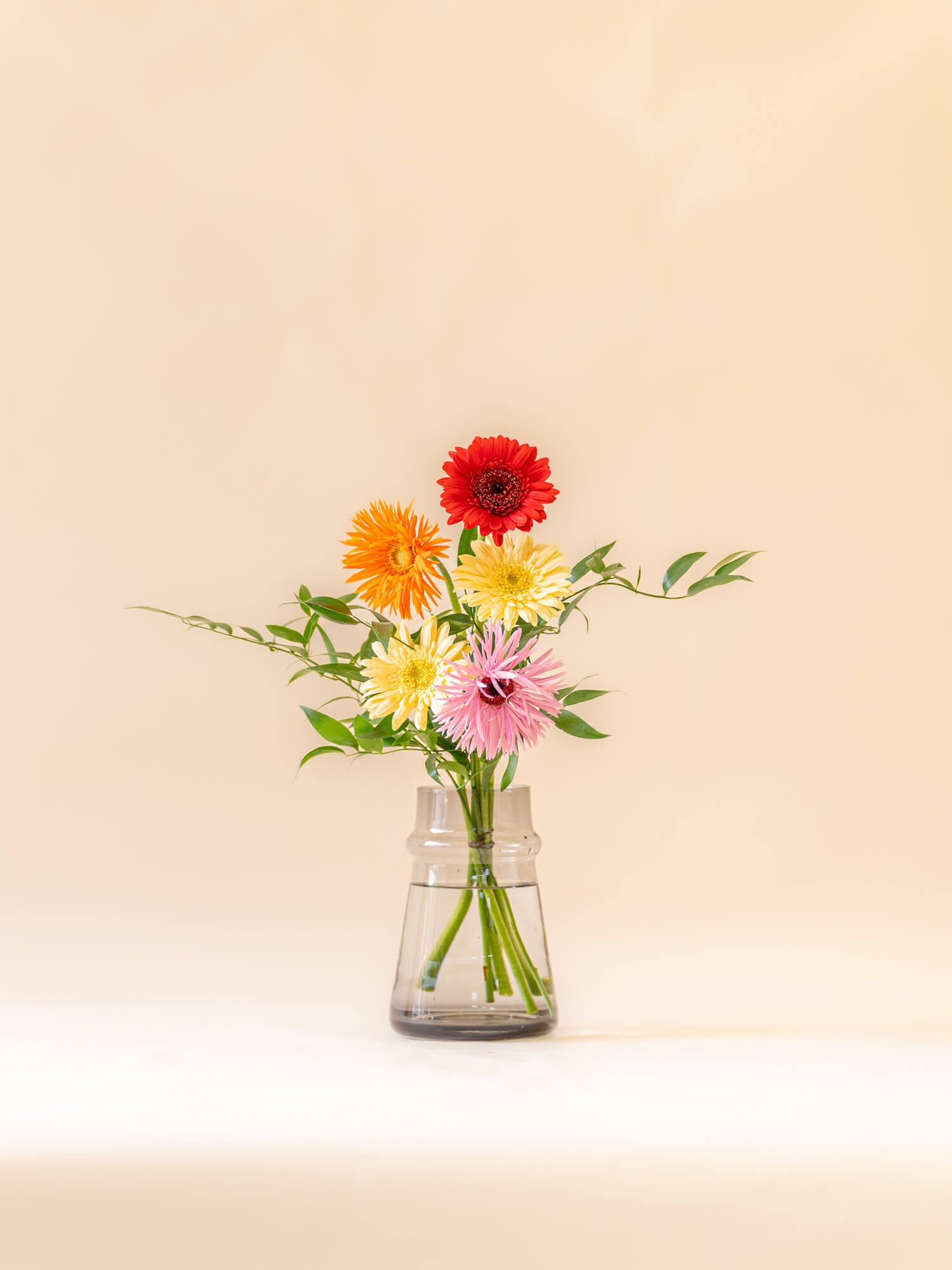 ガーベラ　5本セット ガーベラの花束 5本 - ミックス - | お花の通販AND FLOWER (アンド