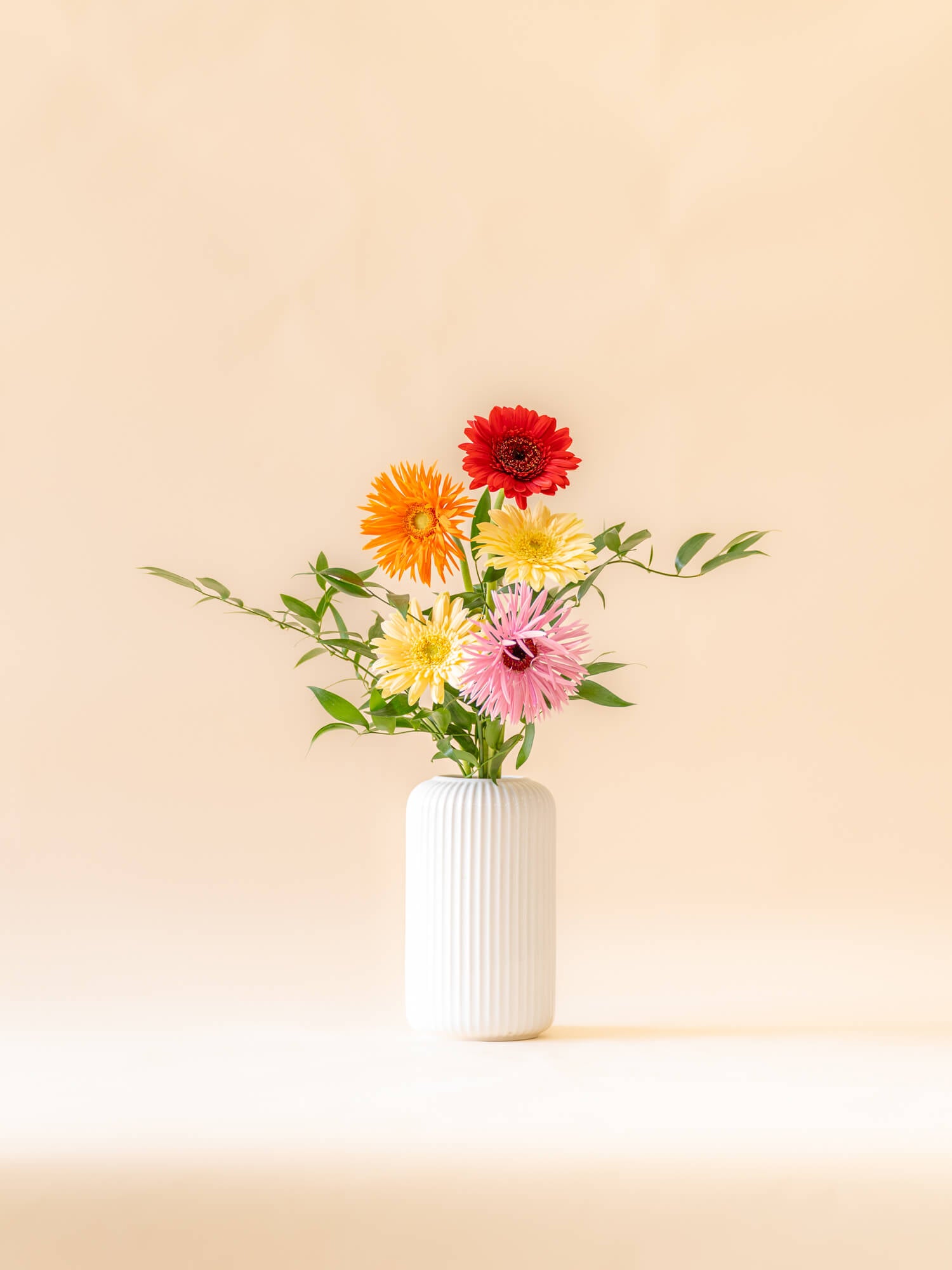 ガーベラの花束 5本 - ミックス - | お花の通販AND FLOWER (アンド