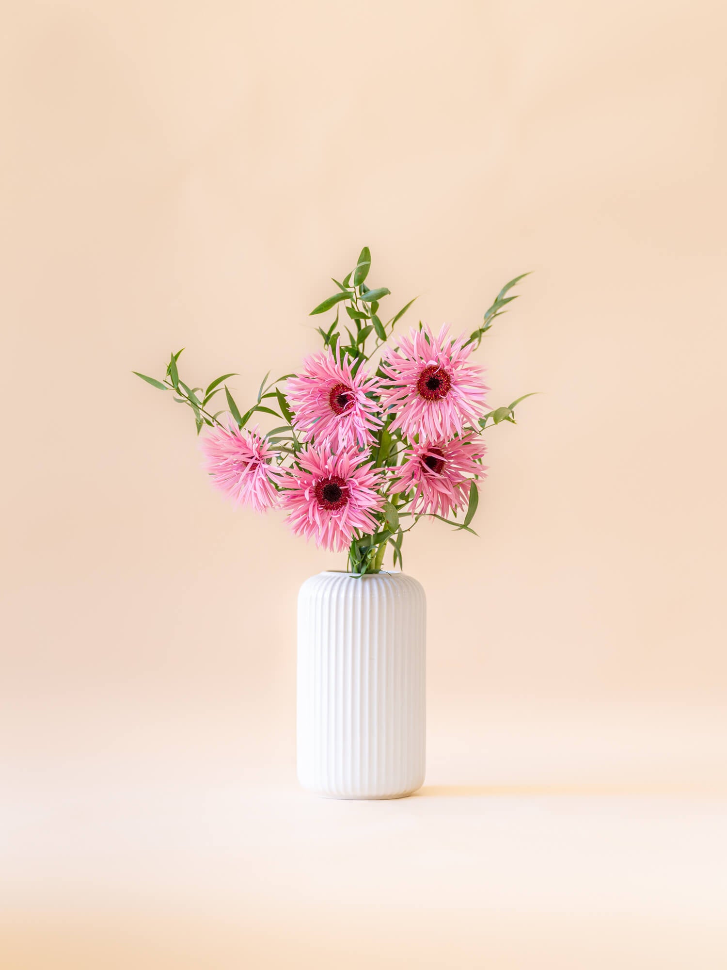 ガーベラの花束 5本 - ピンク - | お花の通販AND FLOWER (アンドフラワー)