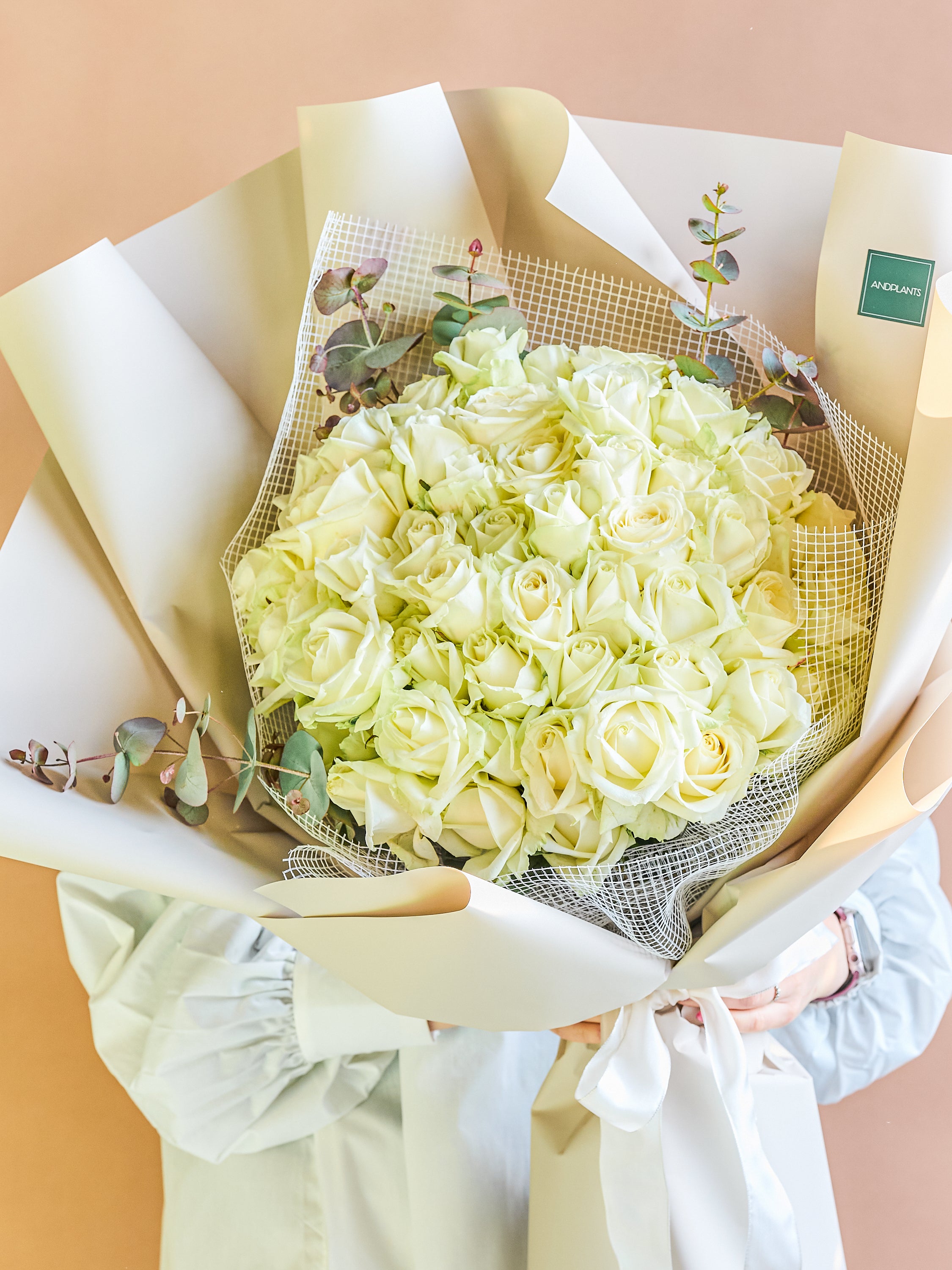 バラの花束 50本 - ホワイト -