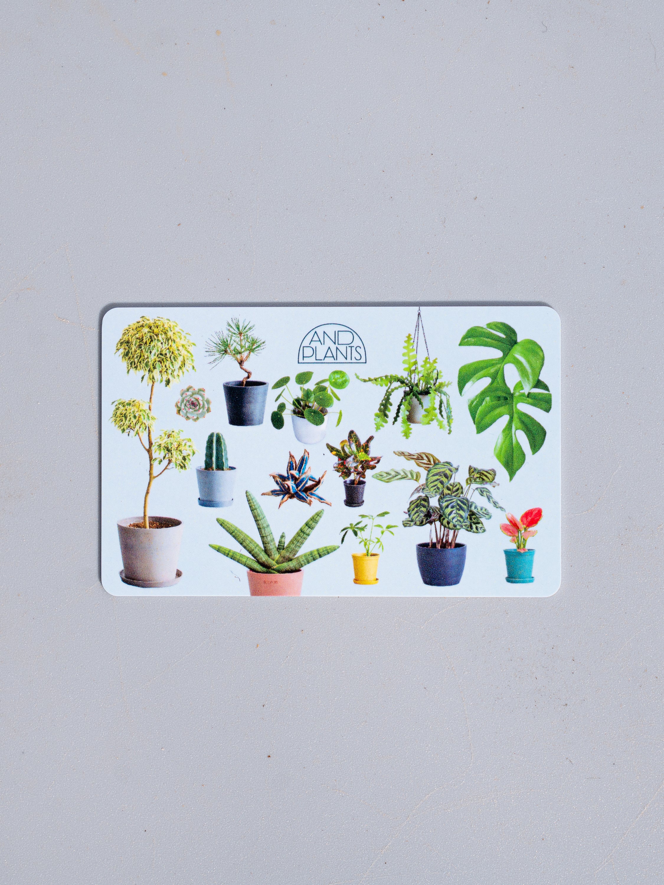 その他観葉植物 acetedyamada 観葉植物ギフトカード】Plants Gift Card 22000 | 観葉植物・お花の