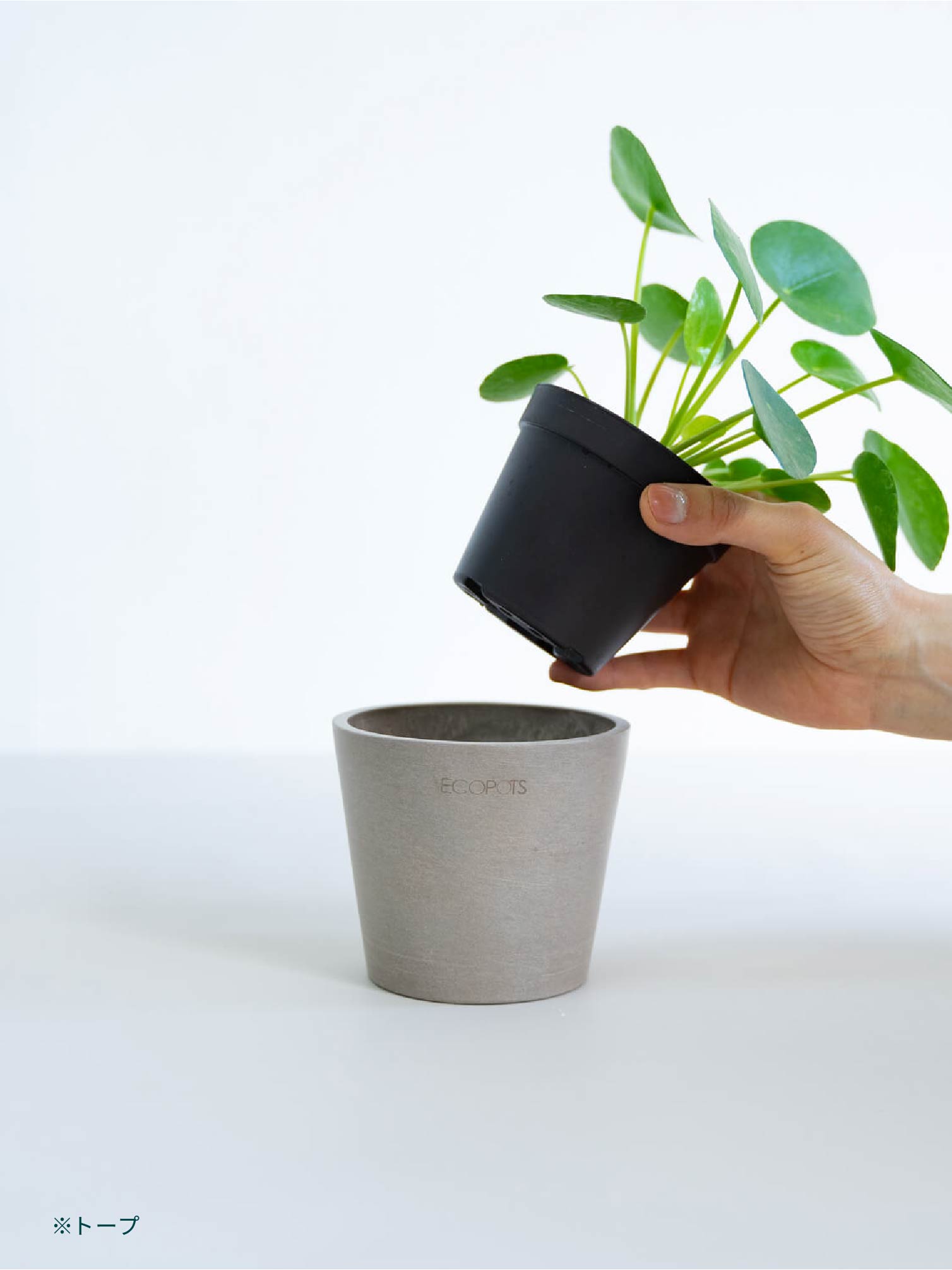 【在庫セール】ECOPOTS Amsterdam エコポッツ AND PLANT 鉢カバー Table-M ECOPOTS Amsterdam | 観葉植物の通販 AND PLANTS