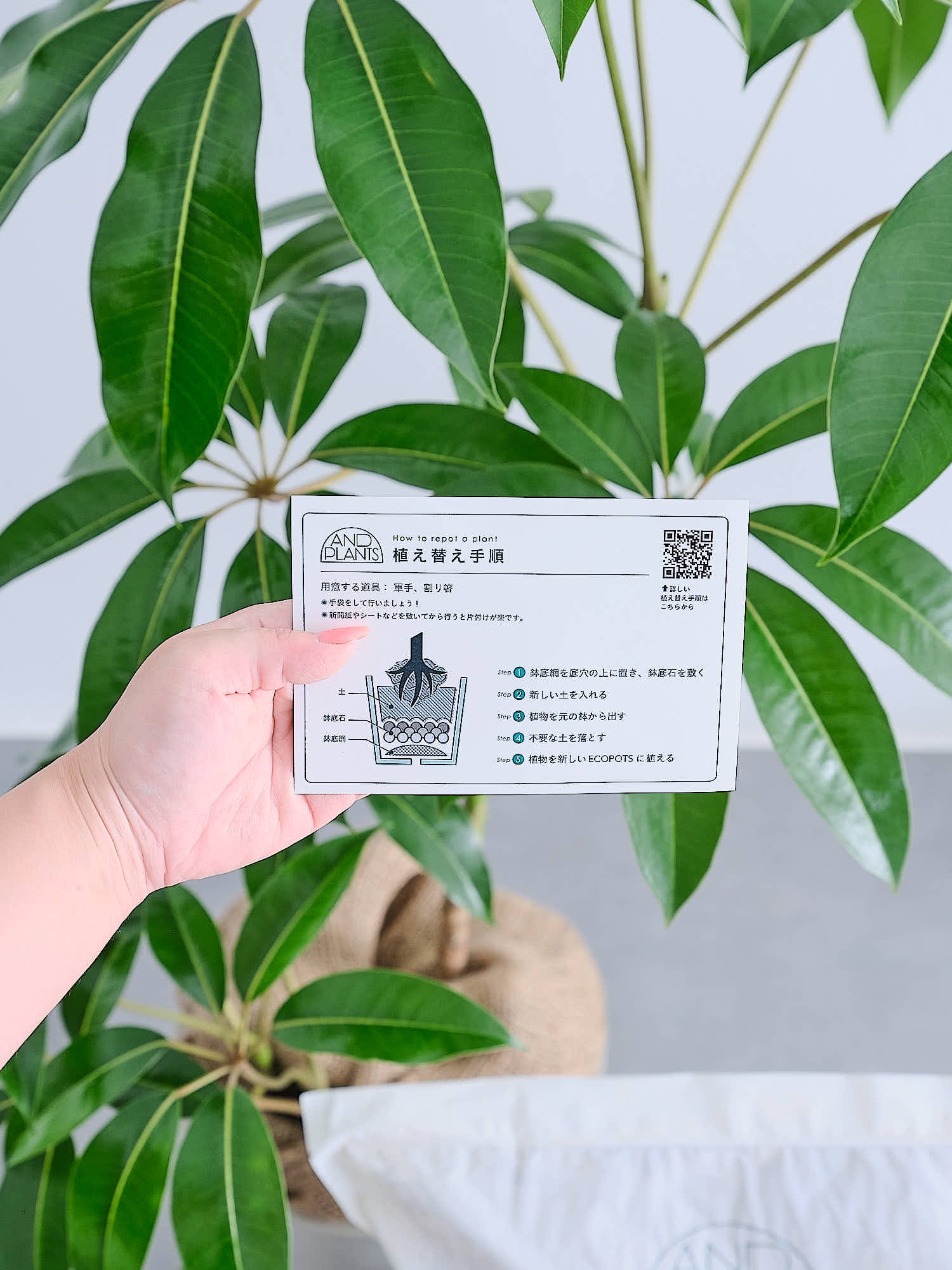 植え替え道具セット 【公式通販】