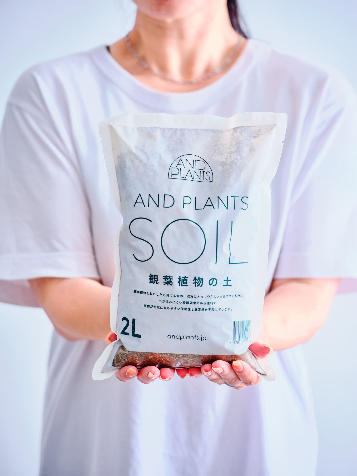 AND PLANTS SOIL 観葉植物の土 2L <6号鉢向け>