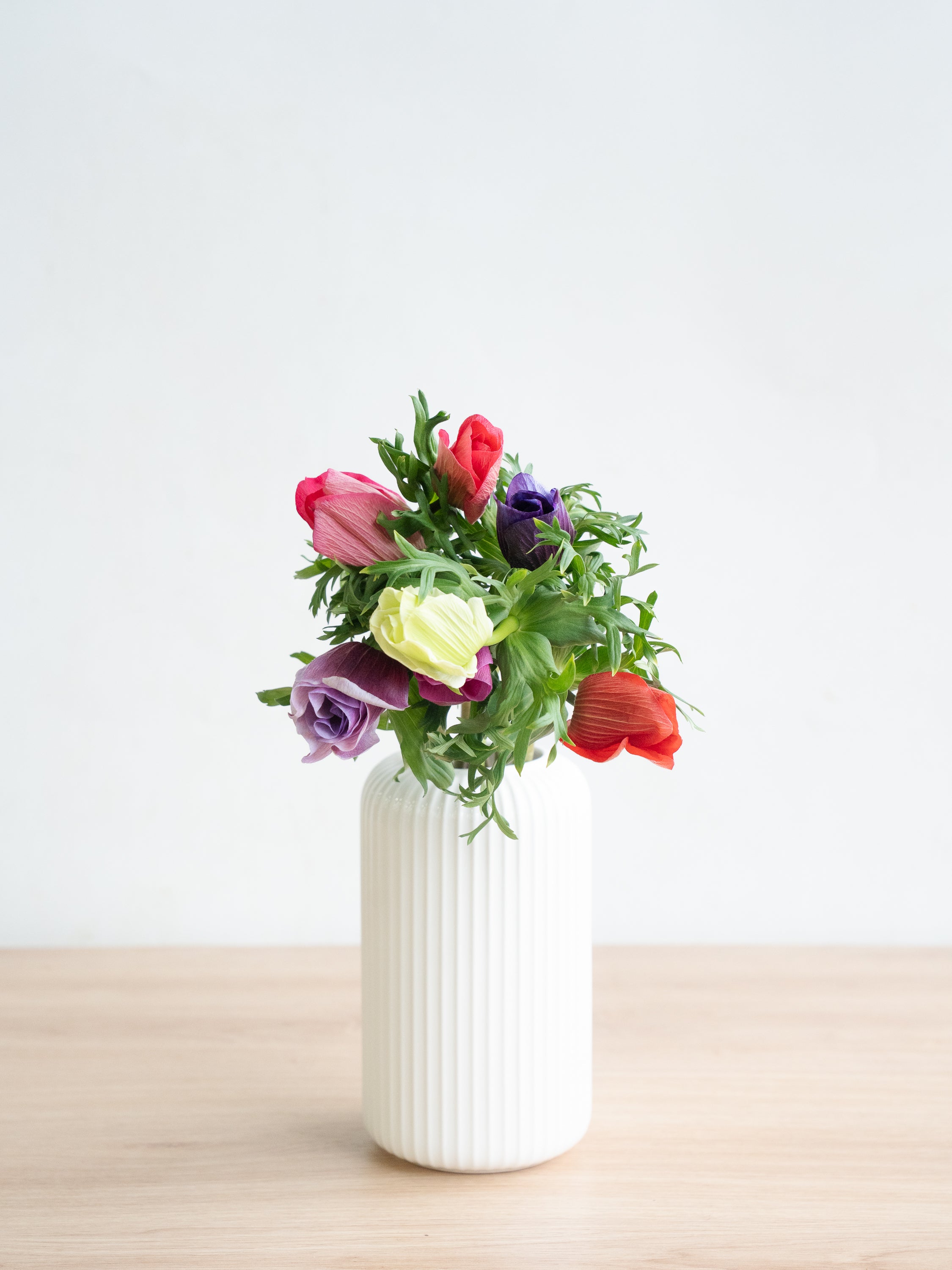 2/5〜2/7到着】アネモネMIX 7本 | 観葉植物・お花の通販 AND PLANTS