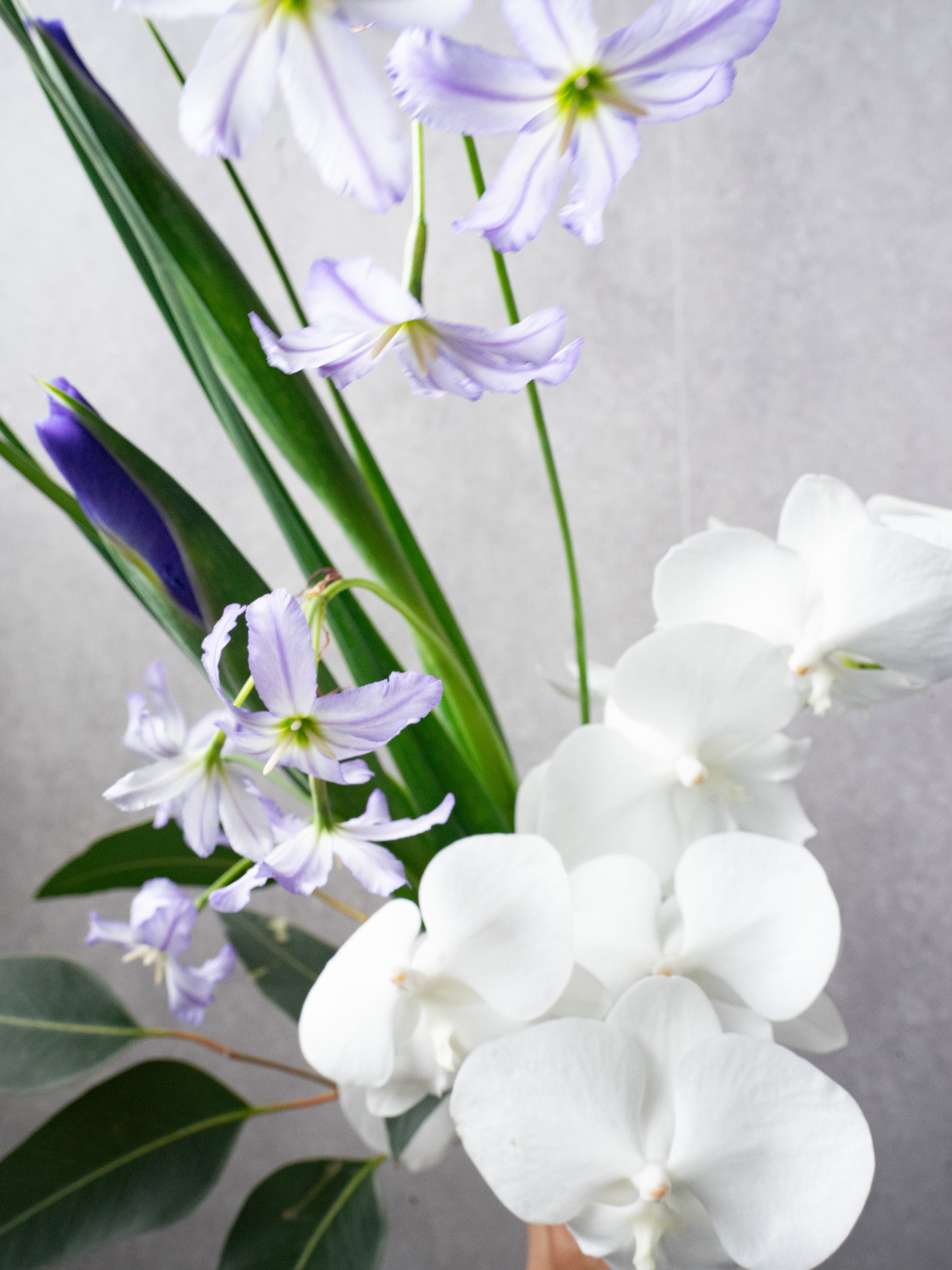 4/8〜4/10到着】和モダンブーケ 1束 | 観葉植物・お花の通販 AND