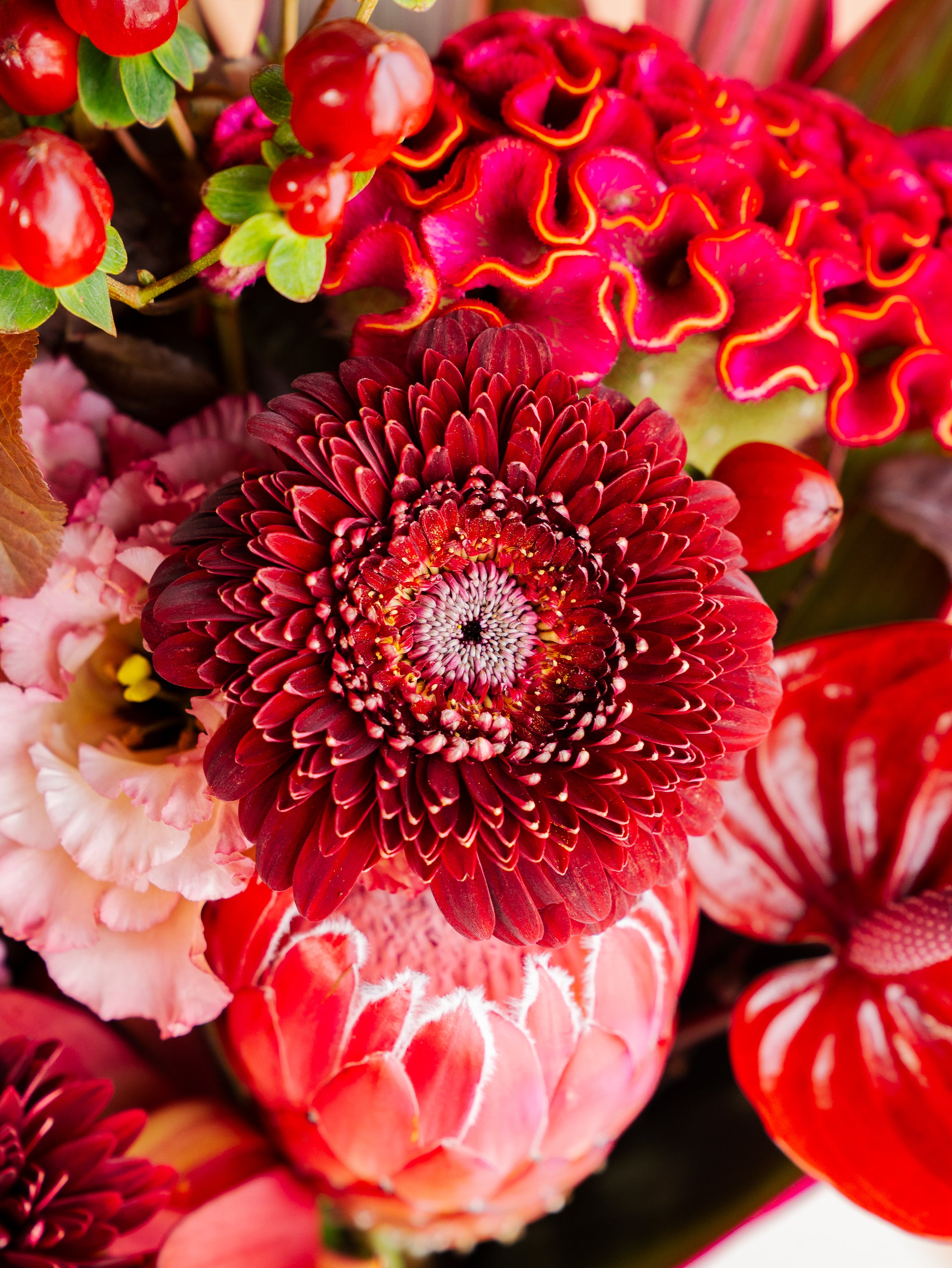 オータム】秋色ベロアレッドの花束 L | お花の通販AND FLOWER (アンド