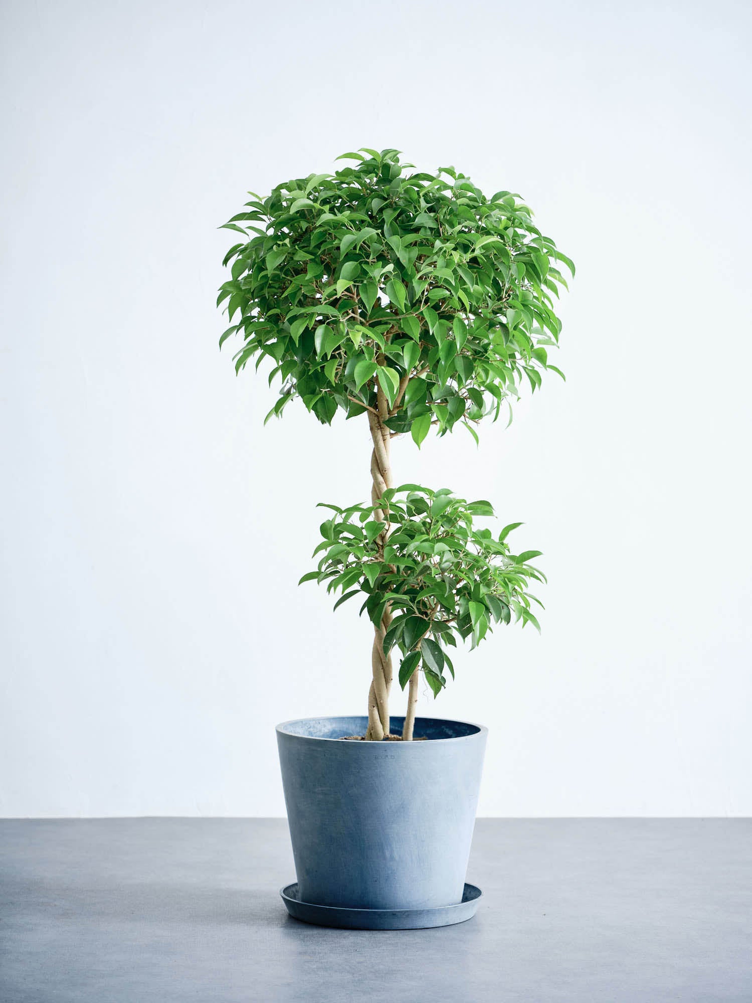 product-image_benjaminarich-
