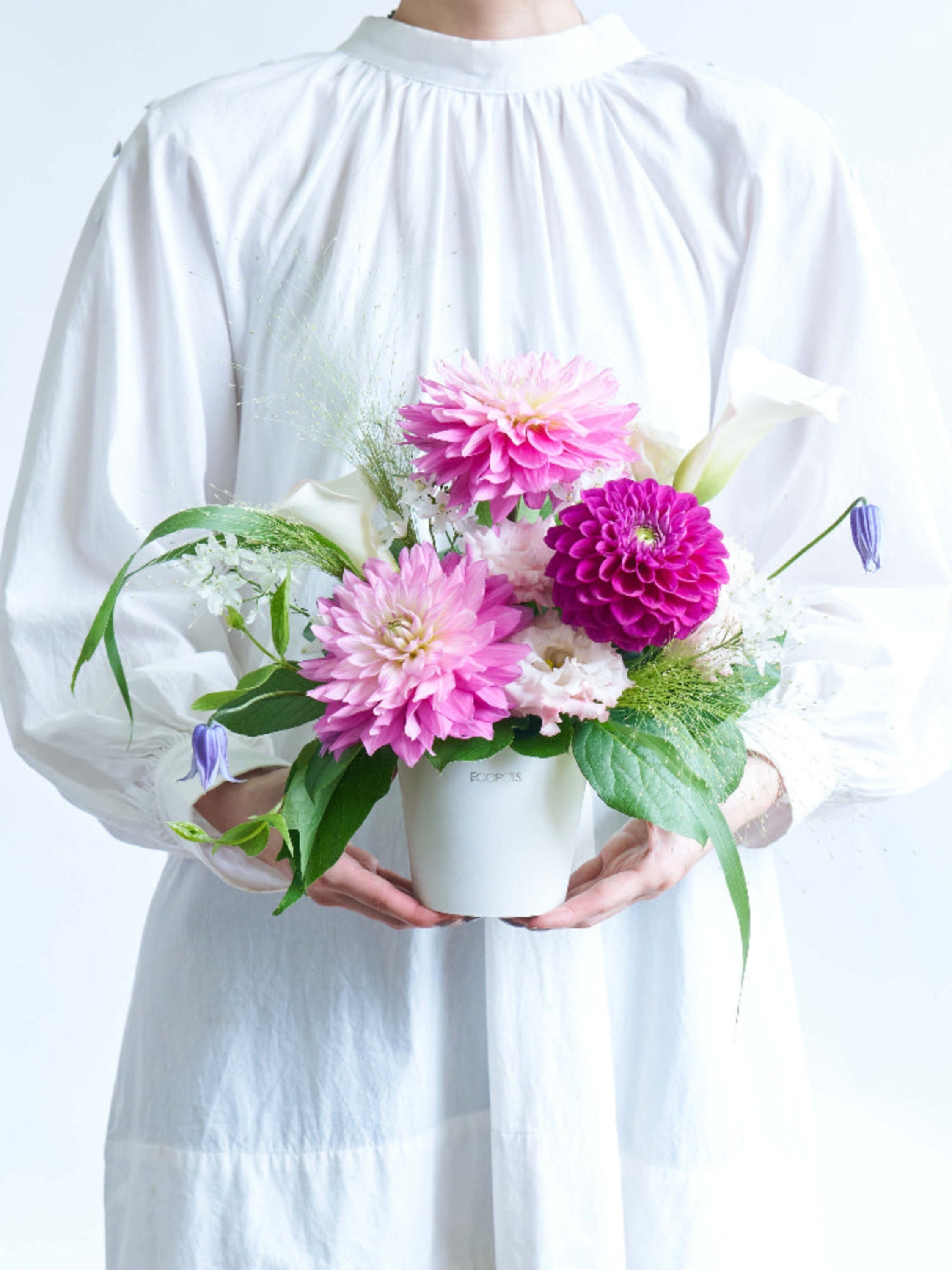 ダリアのアレンジメント | お花の通販AND FLOWER (アンドフラワー)