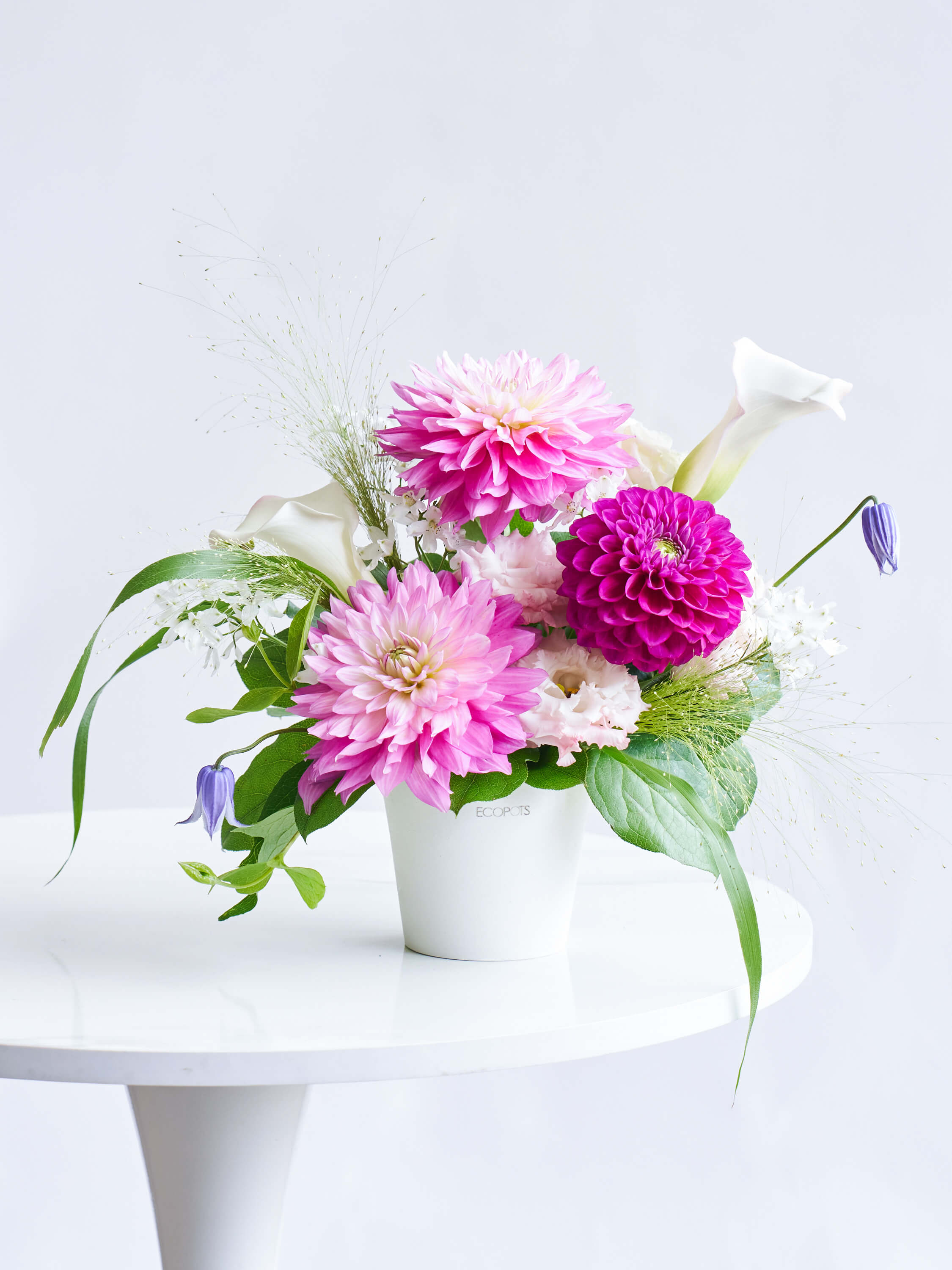 ダリアのアレンジメント | お花の通販AND PLANTS (アンドプランツ)