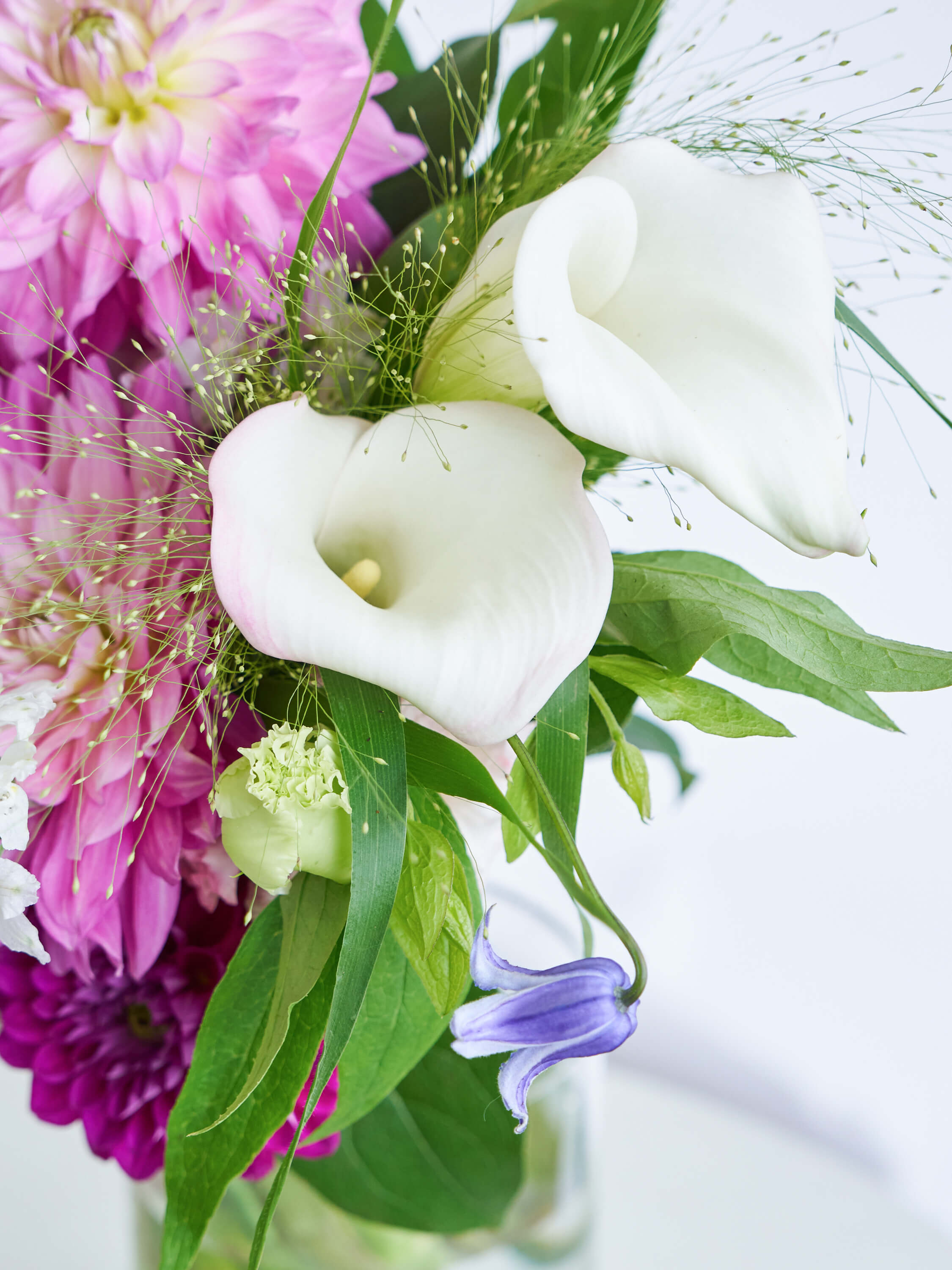 ダリアの花束L | お花の通販AND PLANTS (アンドプランツ)