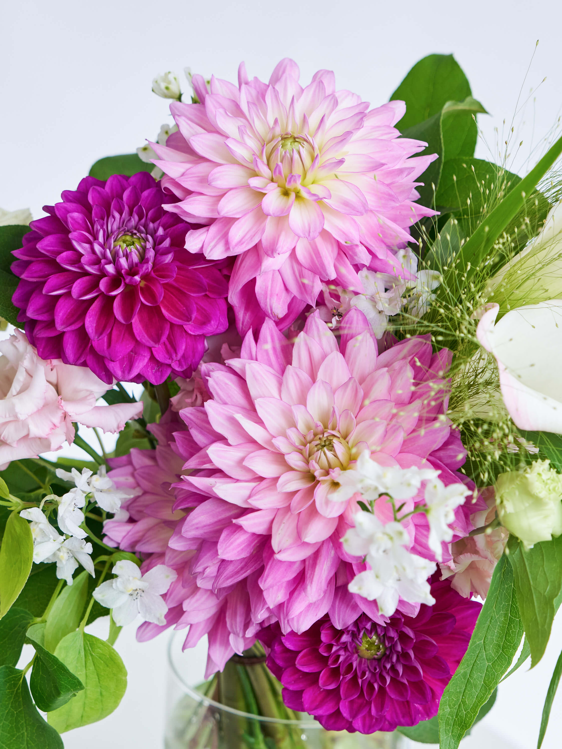 9月の誕生花】ダリアの花束L | お花の通販AND PLANTS (アンド 9月の誕生花】ダリアの花束L | お花の通販AND PLANTS (アンド
