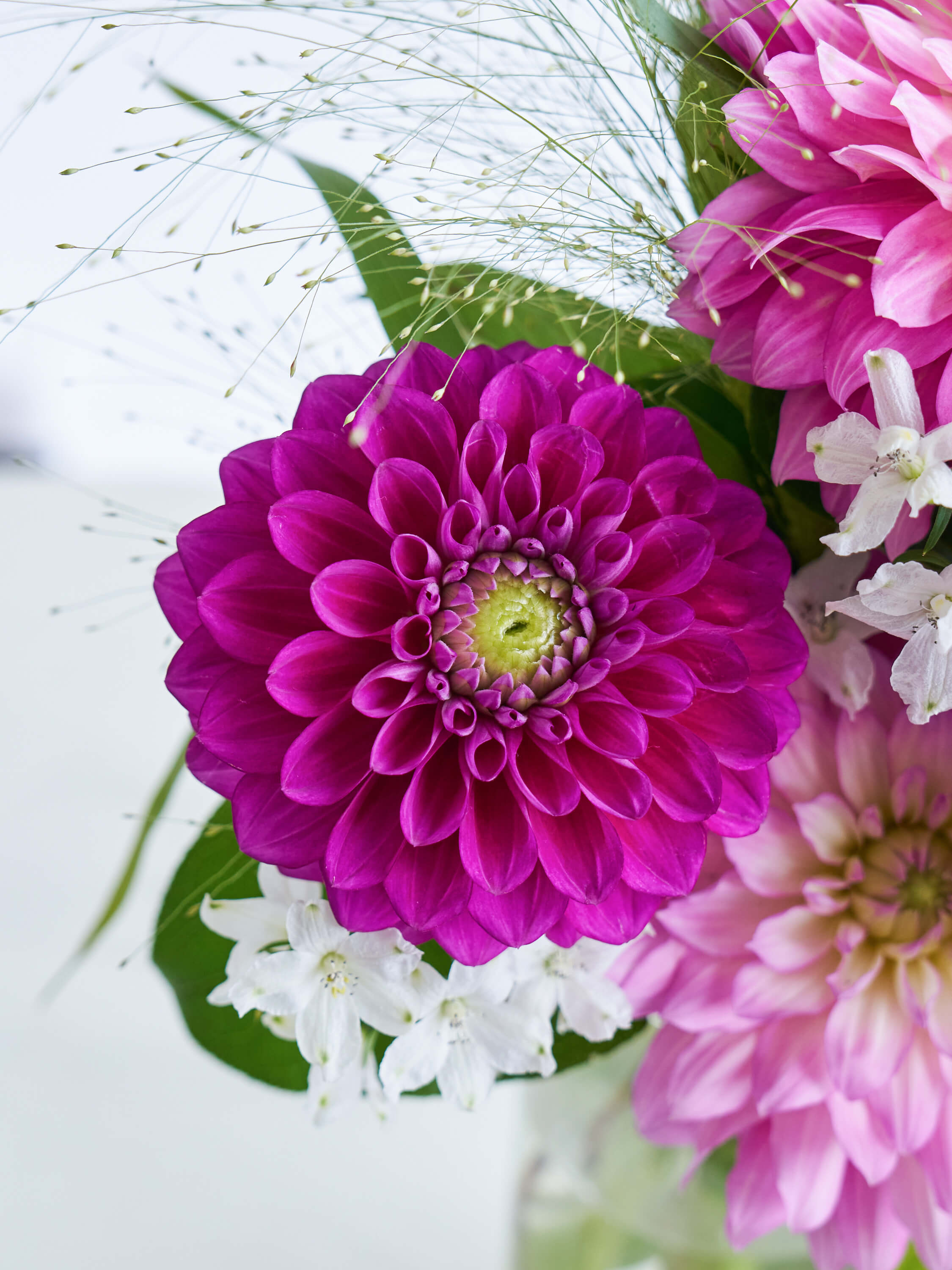 9月の誕生花】ダリアの花束M | お花の通販AND PLANTS (アンド 9月の誕生花】ダリアの花束M | お花の通販AND PLANTS (アンド
