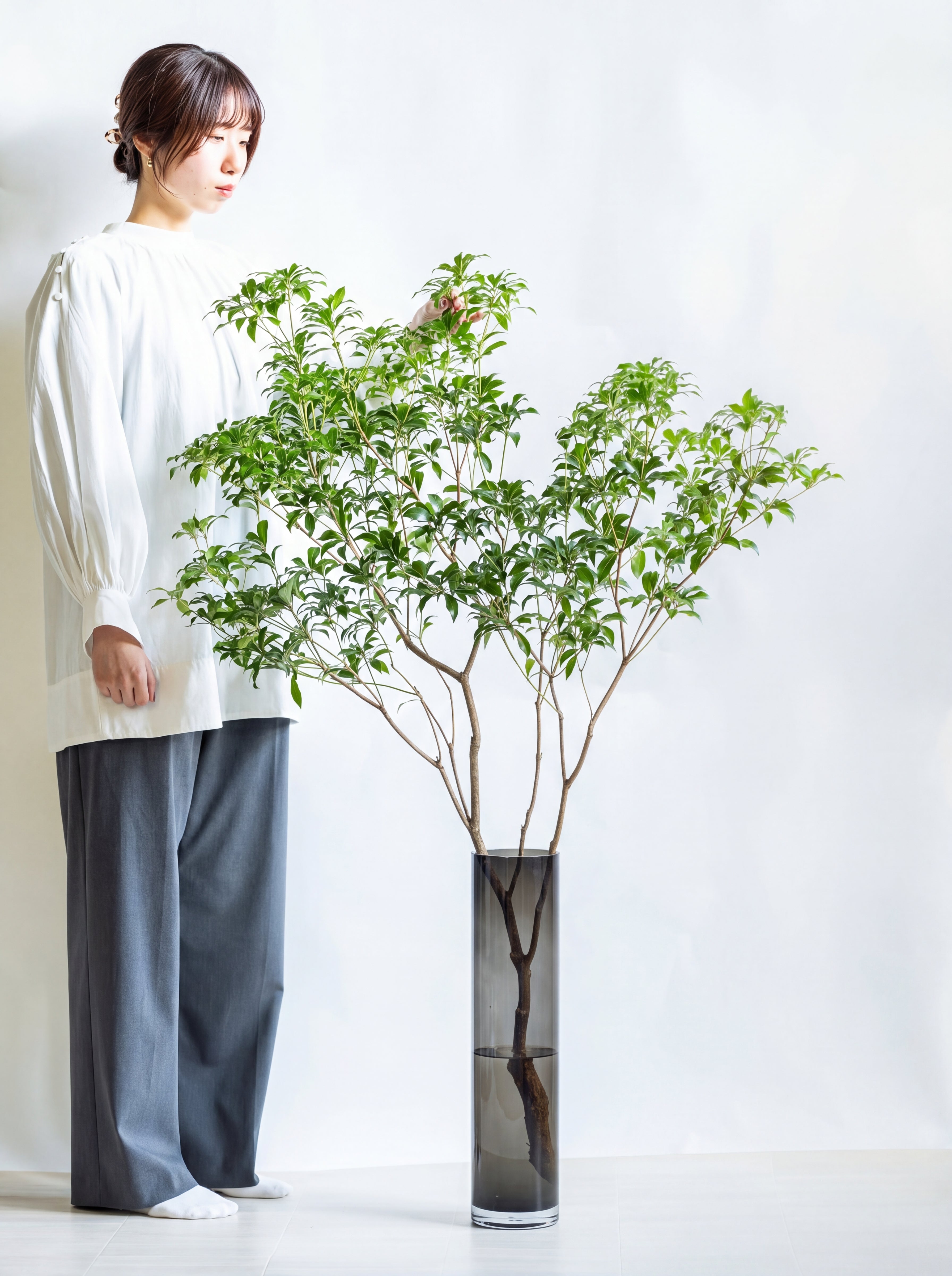枝物】アセビ | 観葉植物・お花の通販 AND PLANTS (アンドプランツ)